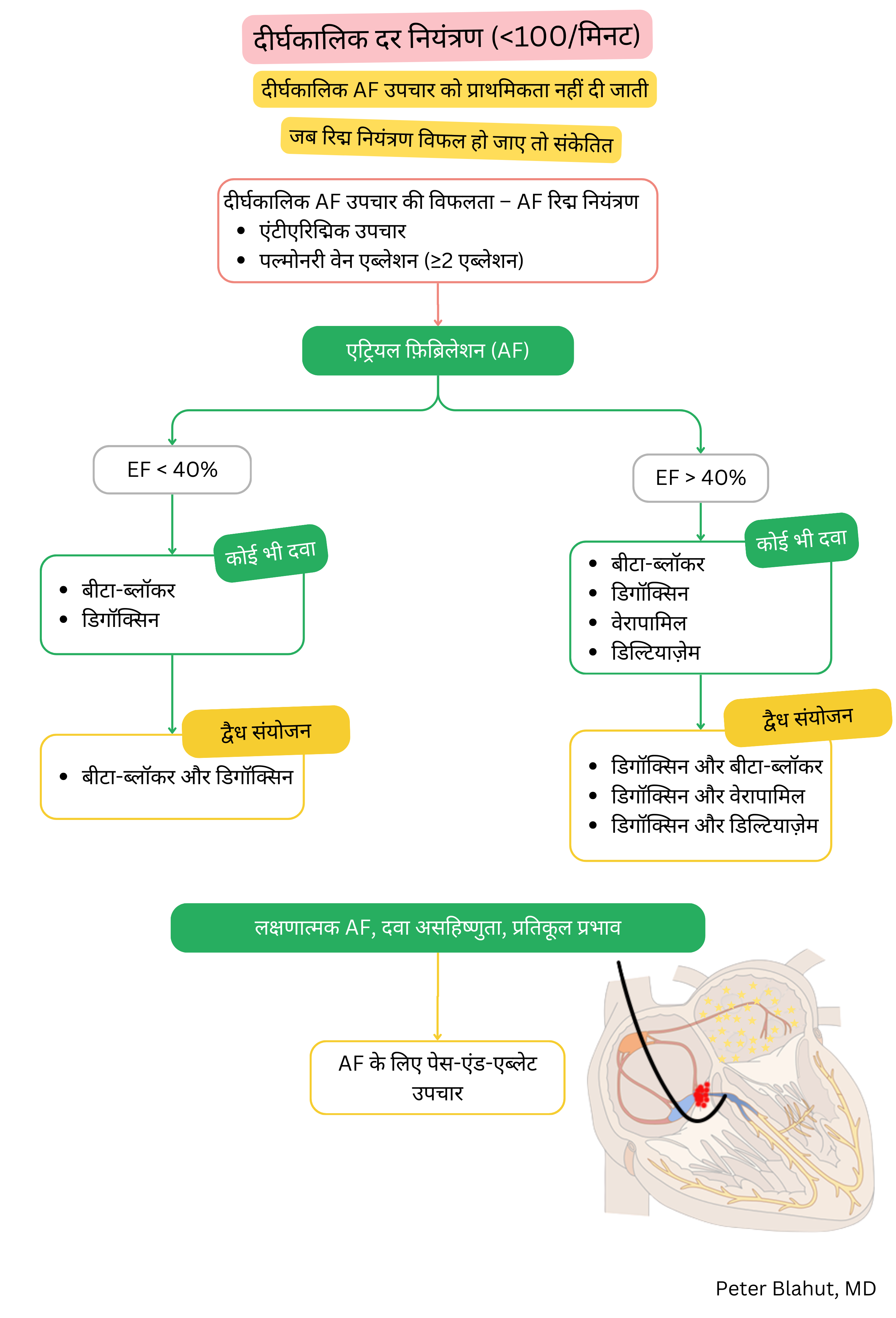 एट्रियल फाइब्रिलेशन में दीर्घकालिक दर नियंत्रण हेतु दिशानिर्देश एल्गोरिदम, जिसमें बाएं वेंट्रिकुलर इजेक्शन फ्रैक्शन के आधार पर औषधीय चयन और पेस एंड एब्लेट रणनीति के संकेत शामिल हैं।