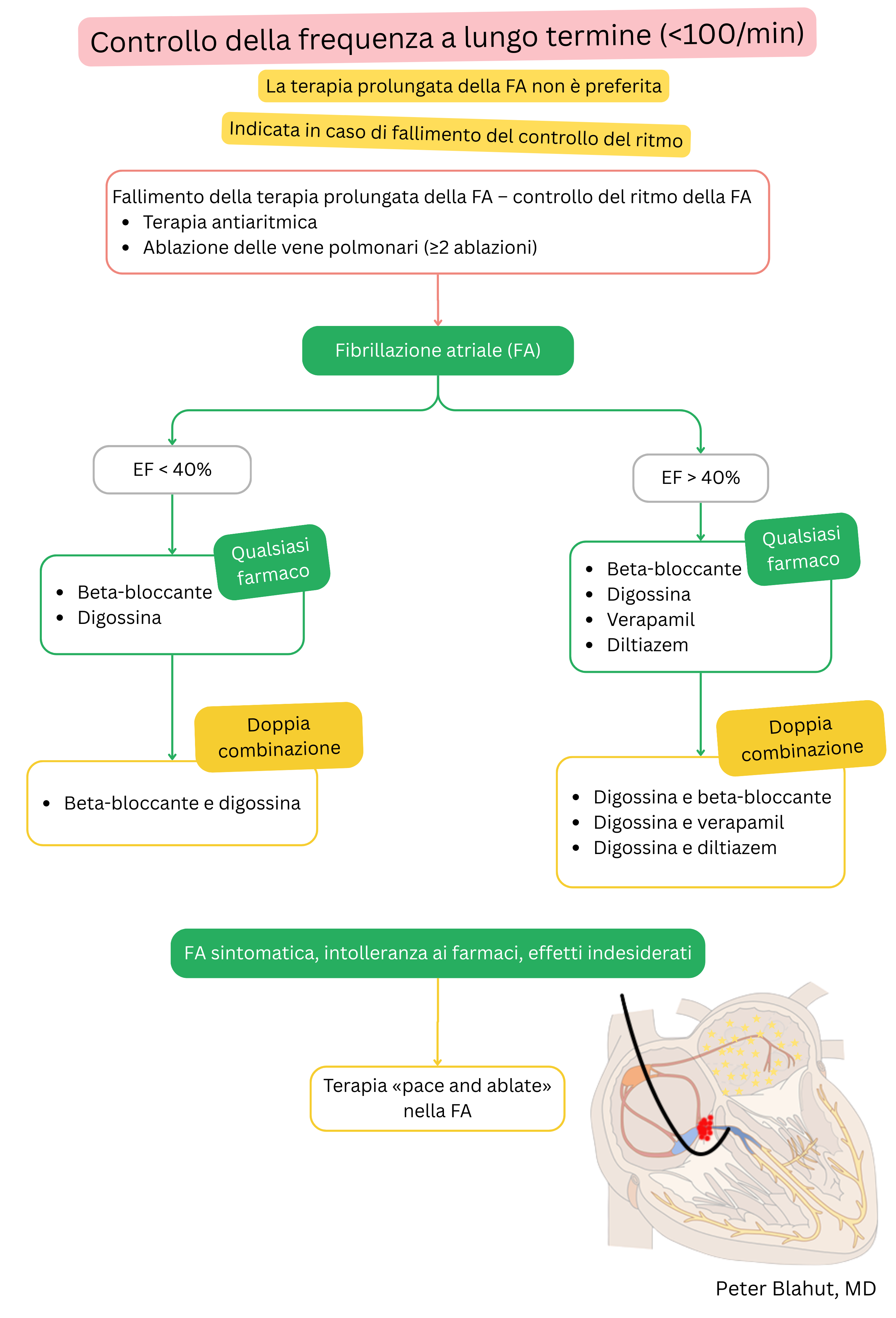 Algoritmo di raccomandazioni per il controllo della frequenza a lungo termine nella fibrillazione atriale con selezione farmacologica in base alla frazione di eiezione ventricolare sinistra e indicazione alla strategia pace and ablate.