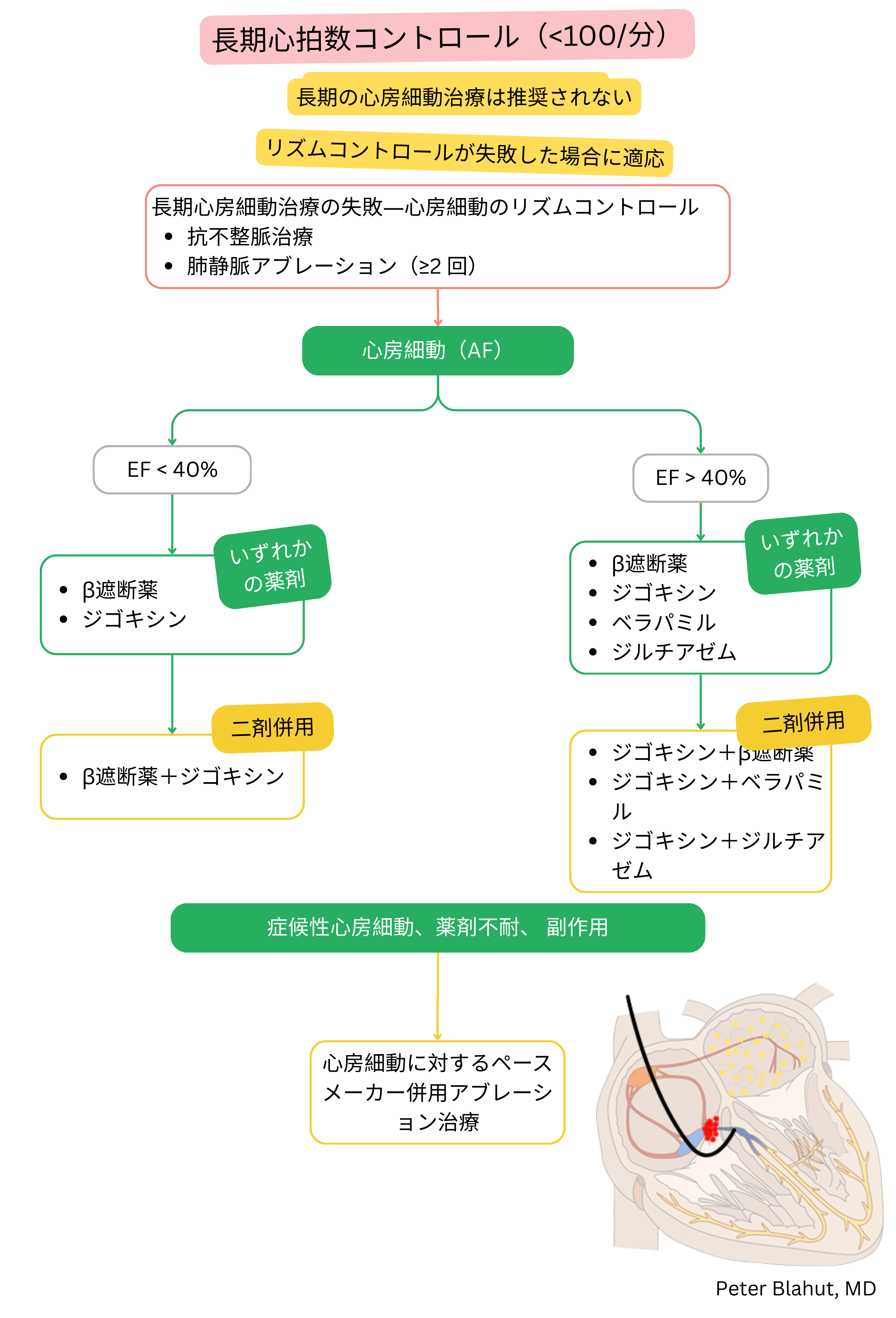 心房細動の長期心拍数管理に関する推奨アルゴリズムで、左室駆出率に基づく薬物療法の選択およびペースメーカー併用アブレーション戦略の適応を含む。