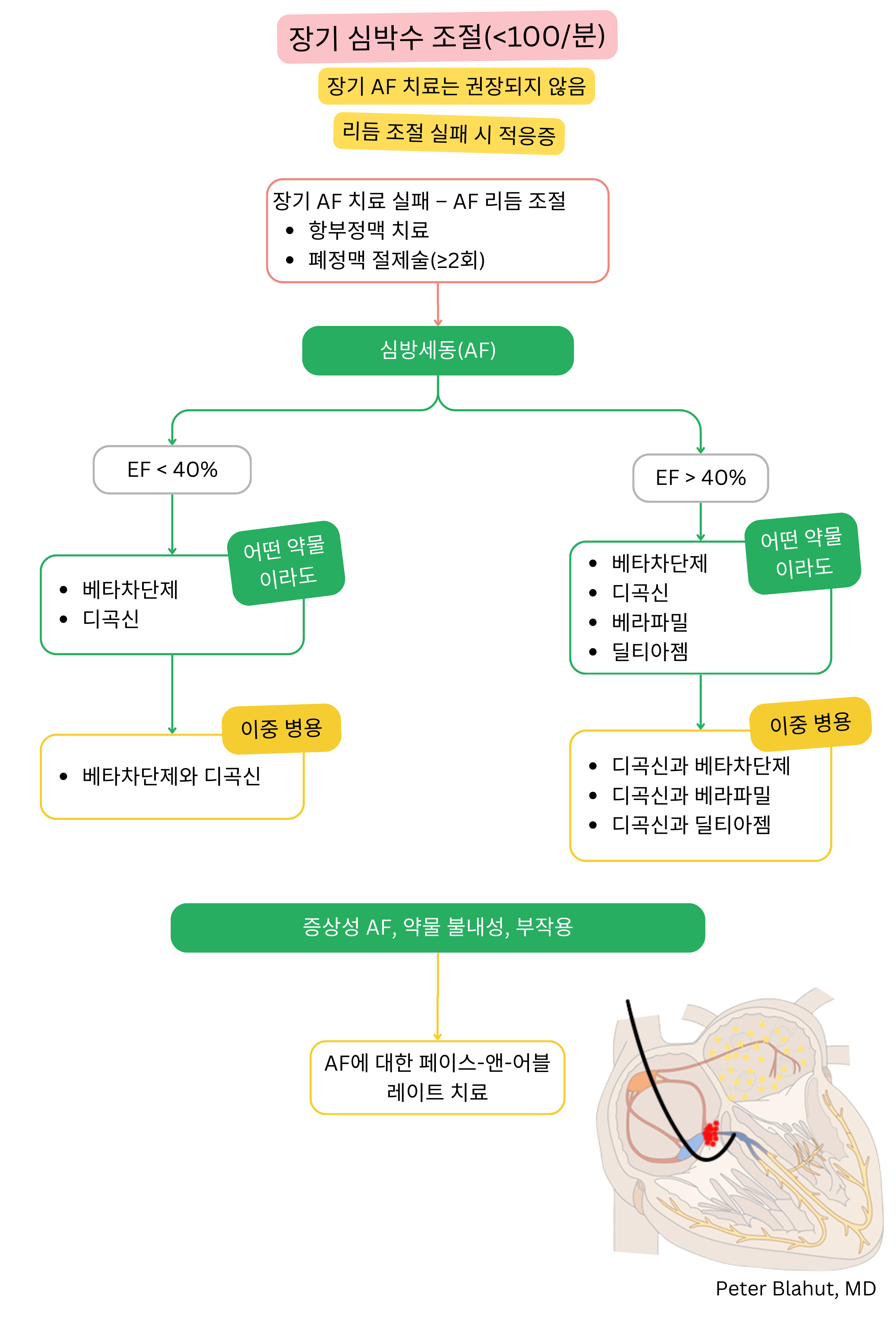 심방세동의 장기 심박수 조절을 위한 권고 알고리즘으로 좌심실 박출률에 따른 약물 치료 선택과 페이스 앤 어블레이트 전략의 적응증을 포함한다.