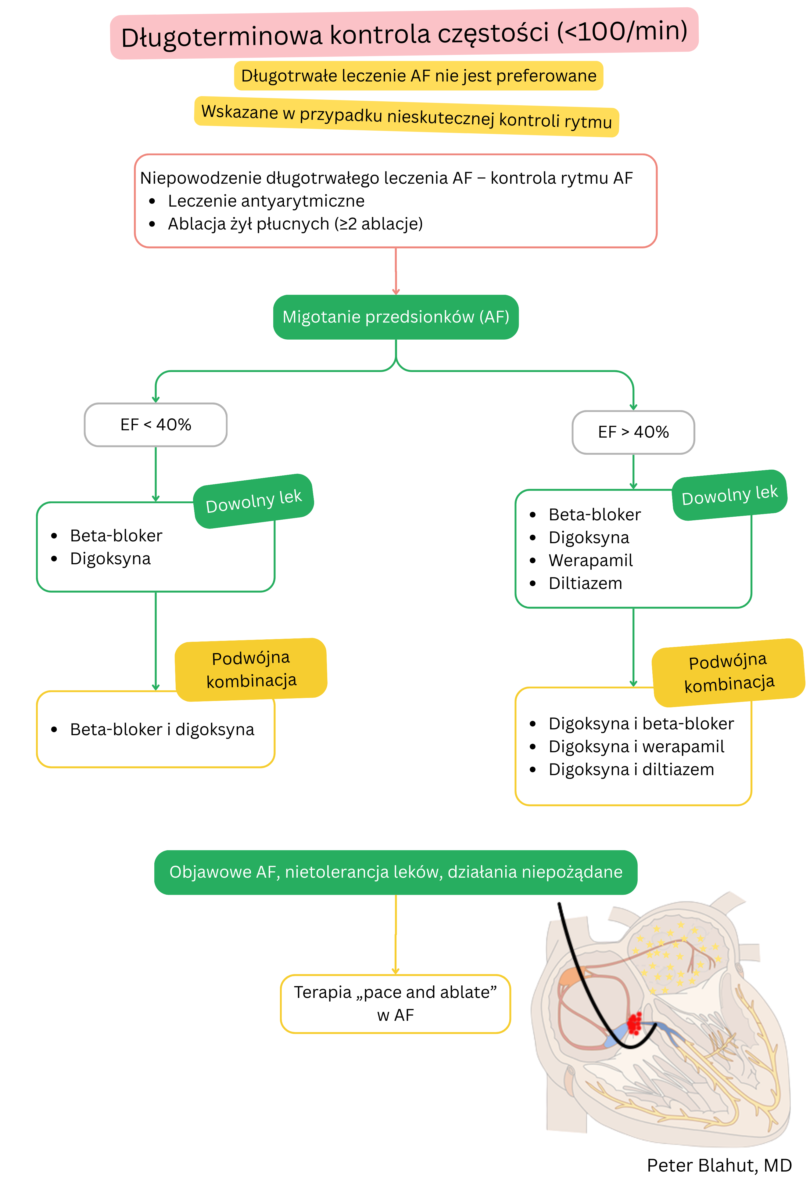 Algorytm zaleceń dotyczących długoterminowej kontroli częstości w migotaniu przedsionków z doborem farmakoterapii zależnie od frakcji wyrzutowej lewej komory oraz wskazań do strategii pace and ablate.