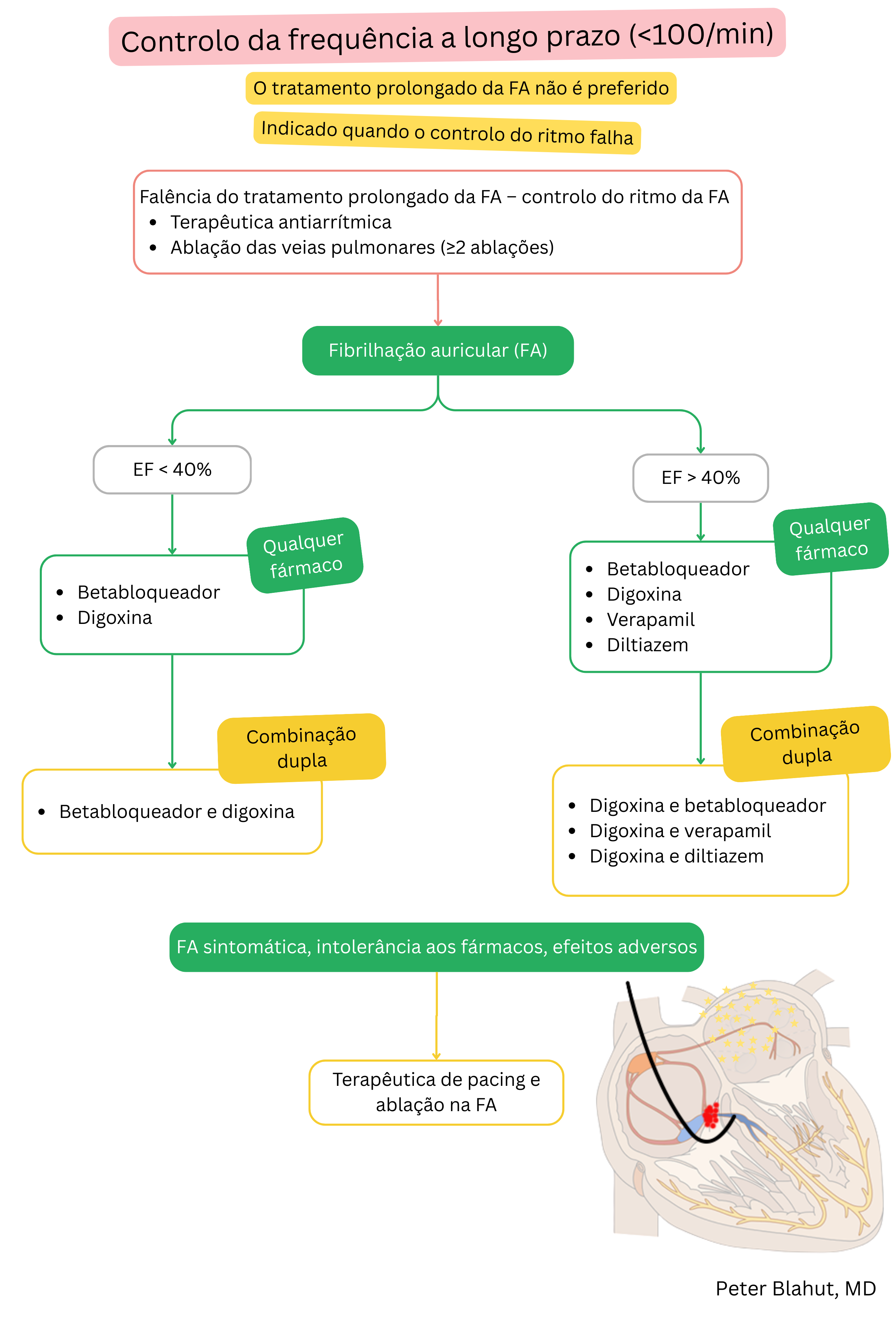 Algoritmo de recomendações para controle da frequência a longo prazo na fibrilação atrial com seleção farmacológica baseada na fração de ejeção do ventrículo esquerdo e indicação da estratégia pace and ablate.