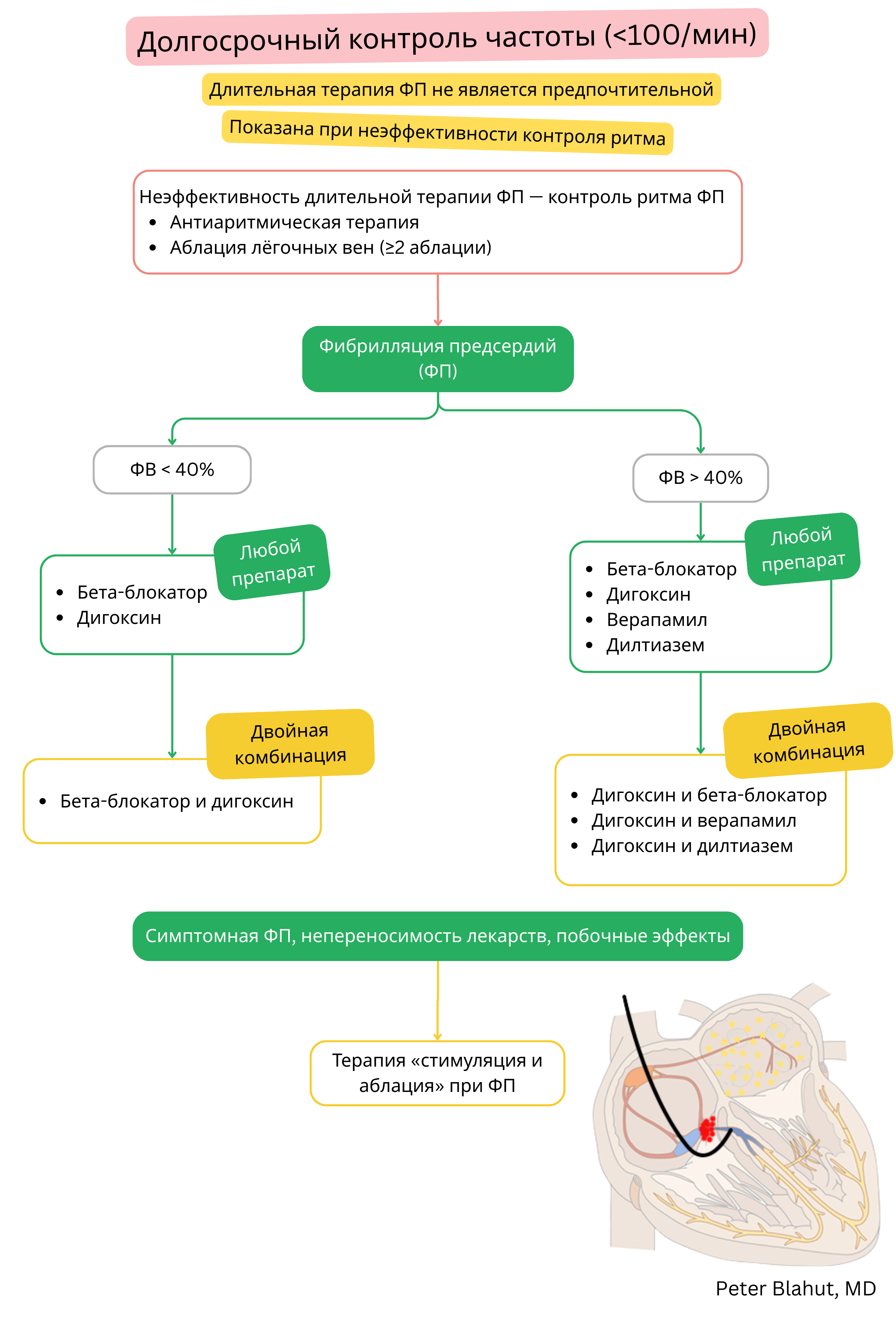 Алгоритм рекомендаций по длительному контролю частоты при фибрилляции предсердий с выбором фармакотерапии с учетом фракции выброса левого желудочка и показаниями к стратегии pace and ablate.