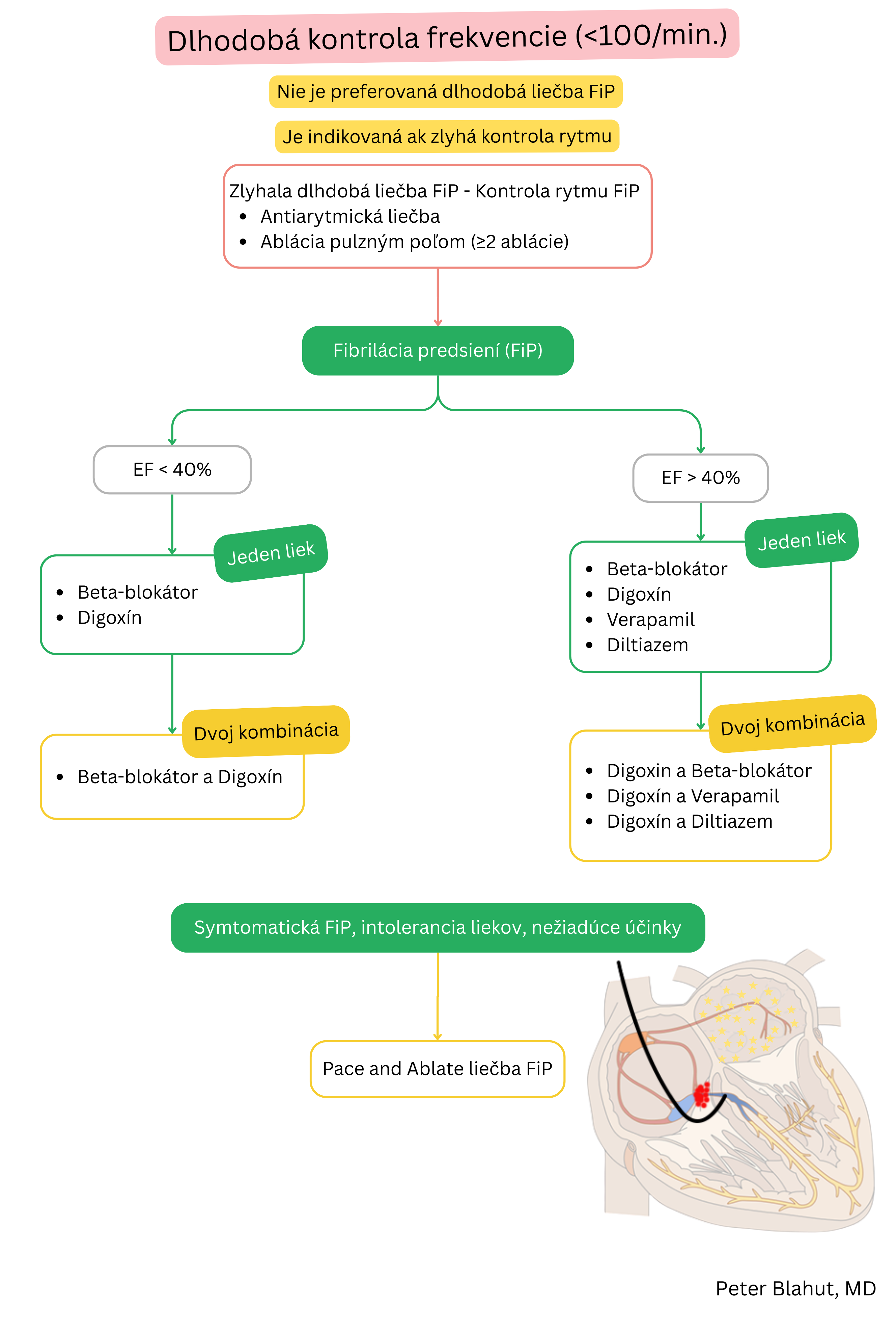 Schéma odporúčaní pre dlhodobú kontrolu frekvencie pri fibrilácii predsiení s výberom farmakoterapie podľa ejekčnej frakcie ľavej komory a indikáciou stratégie pace and ablate.