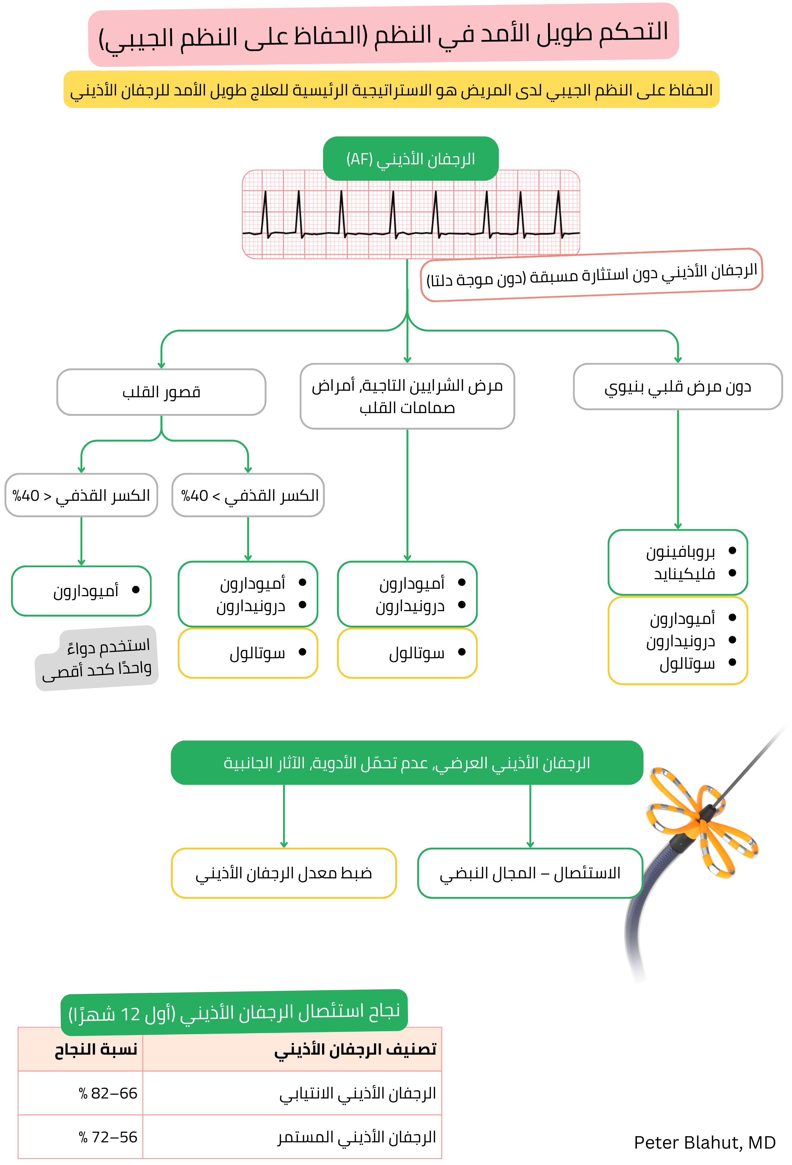 خوارزمية توصيات للسيطرة طويلة الأمد على النظم في الرجفان الأذيني مع اختيار مضادات اضطراب النظم وفق مرض القلب البنيوي ووظيفة البطين الأيسر بما في ذلك استطباب الاستئصال بالقسطرة.