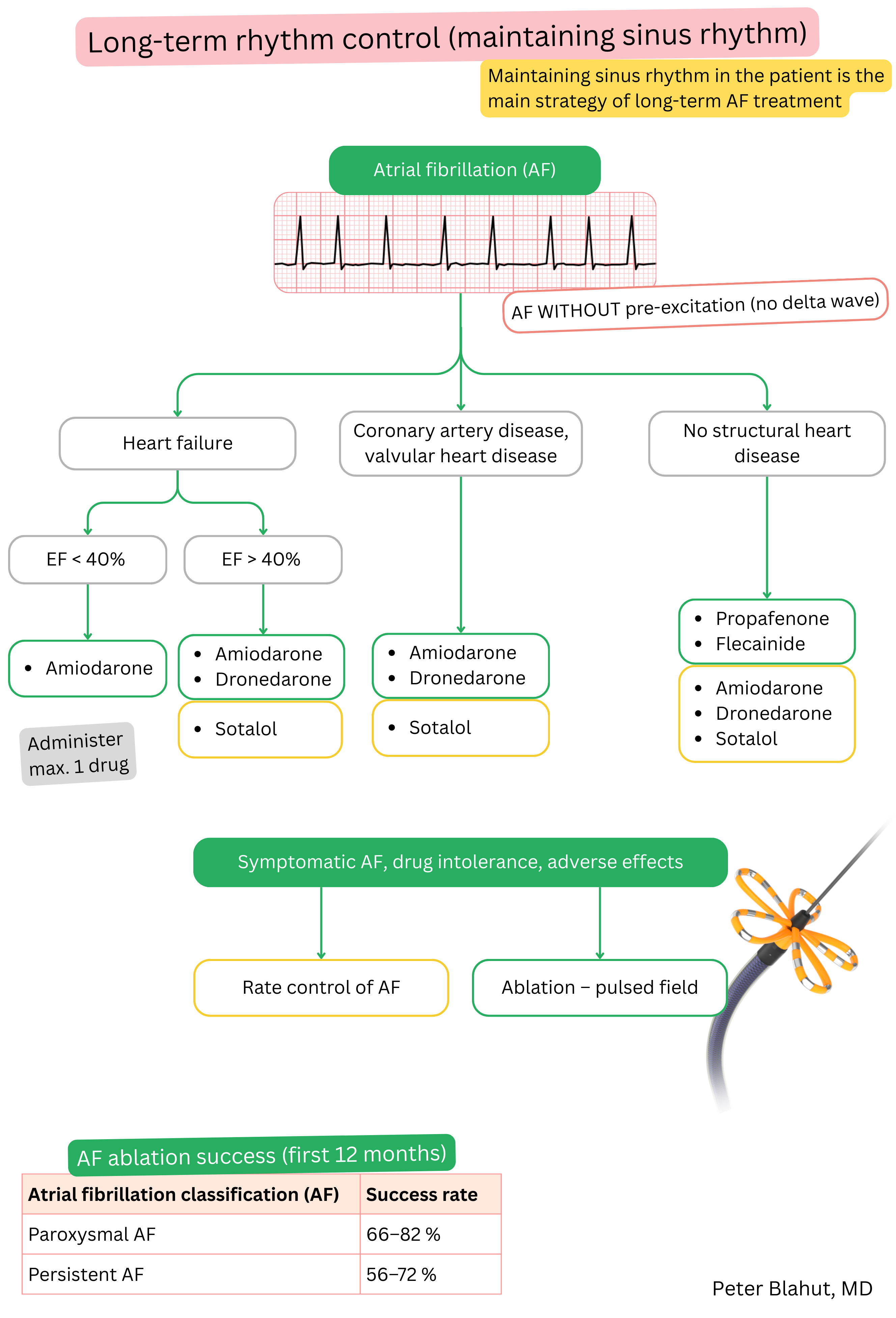 Guideline algorithm for long-term rhythm control in atrial fibrillation with antiarrhythmic selection based on structural heart disease and left ventricular function including catheter ablation indication.