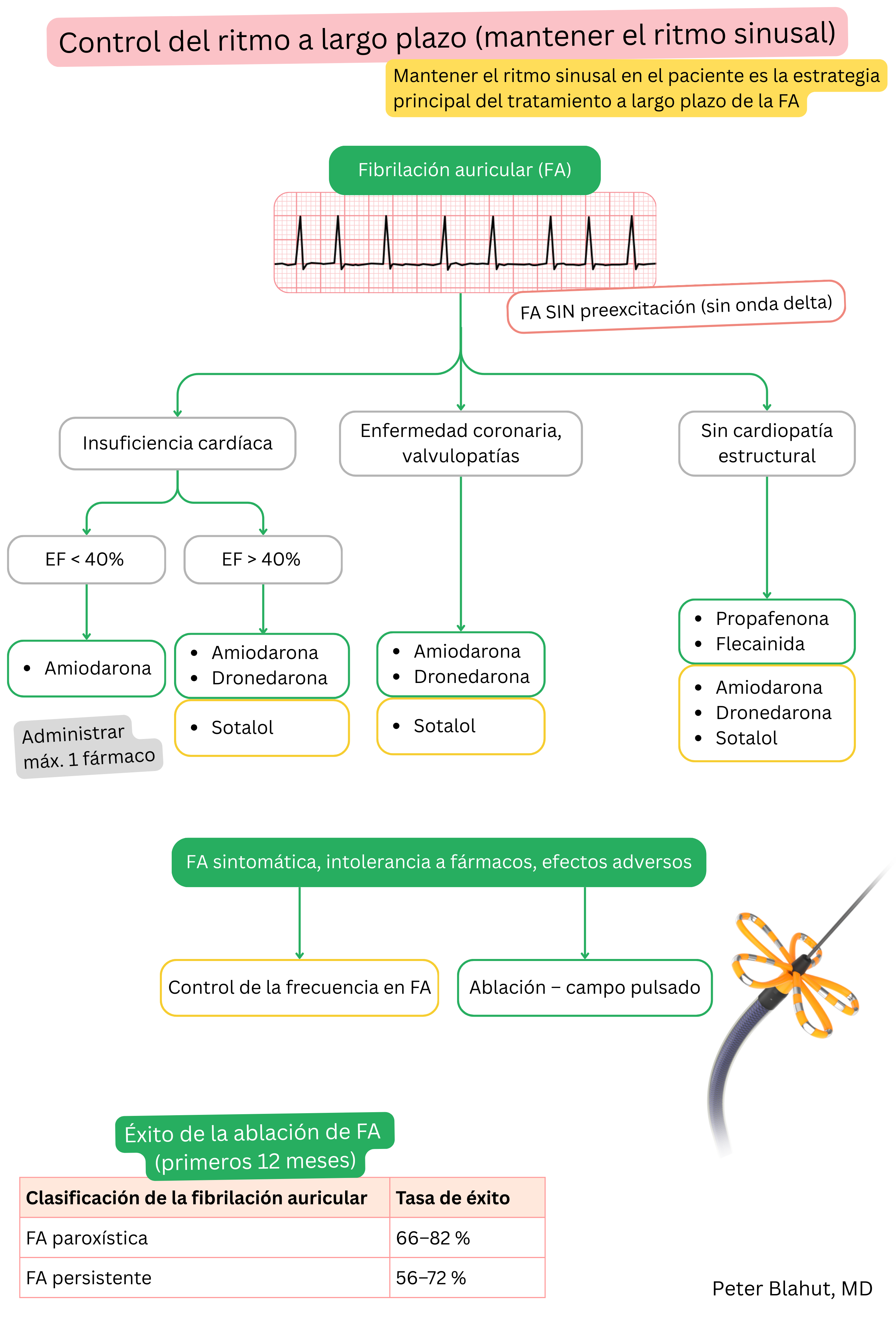 Algoritmo de recomendaciones para el control a largo plazo del ritmo en fibrilación auricular con selección de antiarrítmicos según cardiopatía estructural y función ventricular izquierda, incluyendo indicación de ablación.