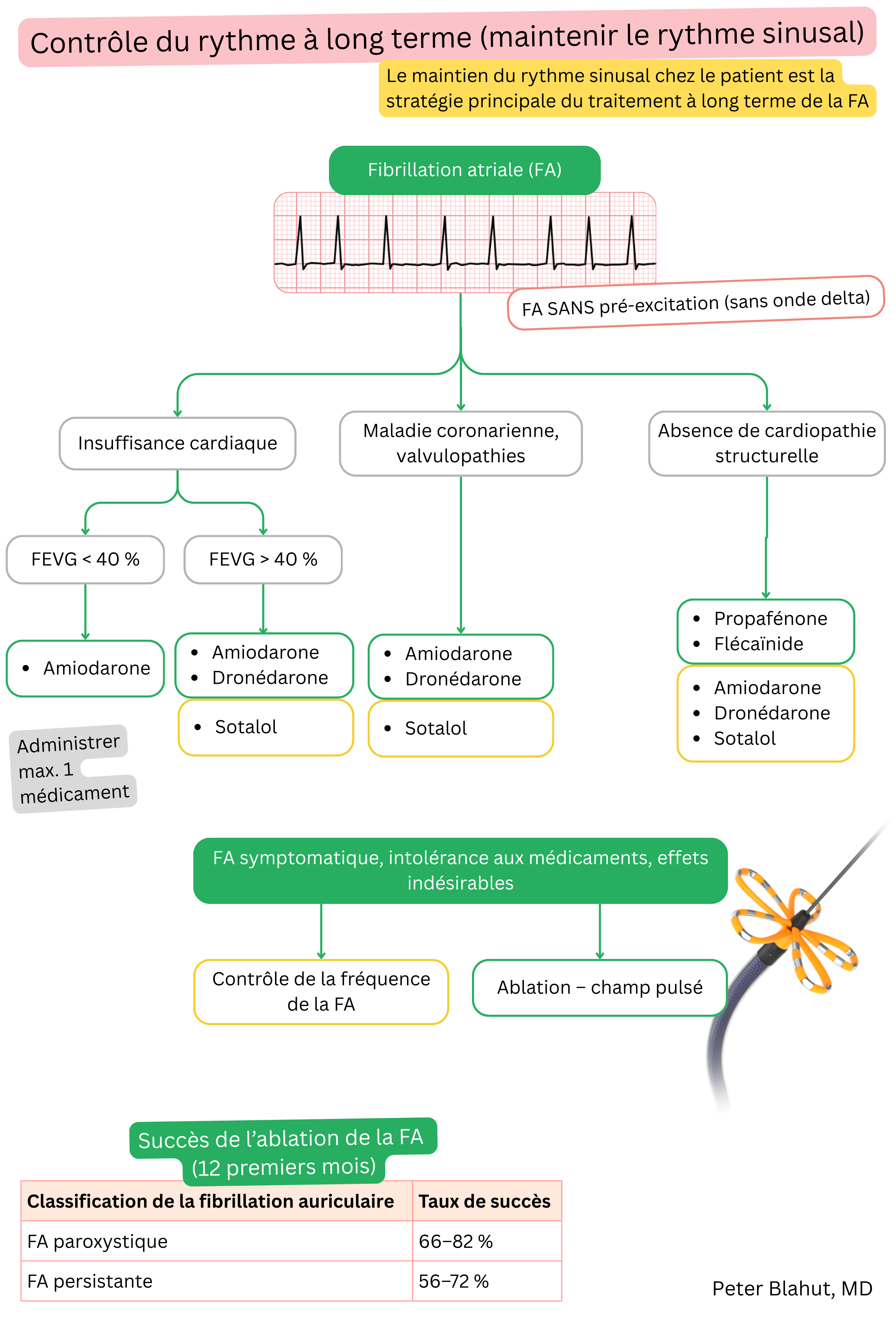 Algorithme de recommandations pour le contrôle du rythme à long terme de la fibrillation auriculaire avec choix des antiarythmiques selon la cardiopathie structurelle et la fonction ventriculaire gauche, incluant l’indication d’ablation.
