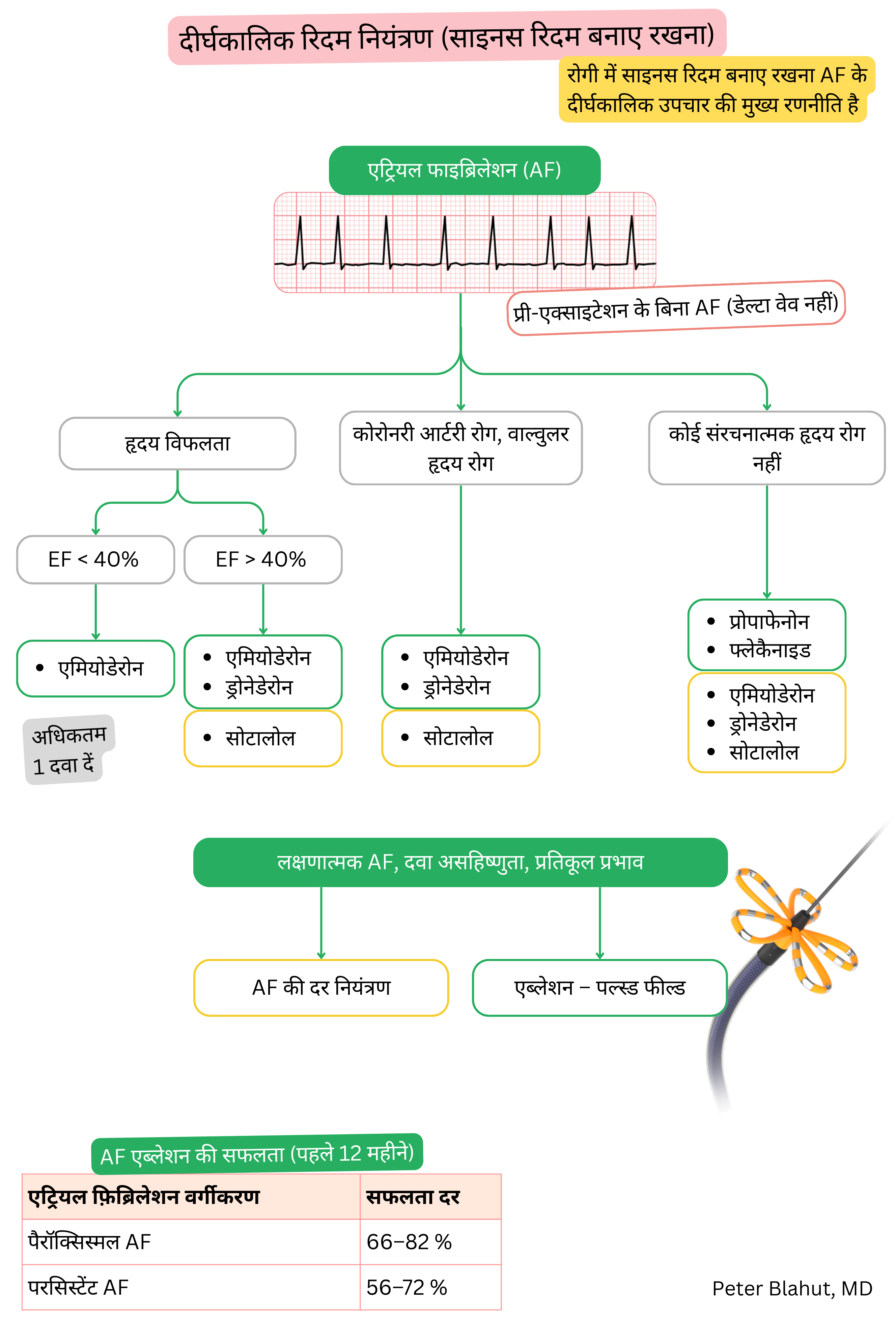 एट्रियल फाइब्रिलेशन में दीर्घकालिक रिद्म नियंत्रण हेतु दिशानिर्देश एल्गोरिदम, जिसमें संरचनात्मक हृदय रोग और बाएं वेंट्रिकुलर कार्य के आधार पर एंटीएरिदमिक चयन तथा एब्लेशन संकेत शामिल हैं।