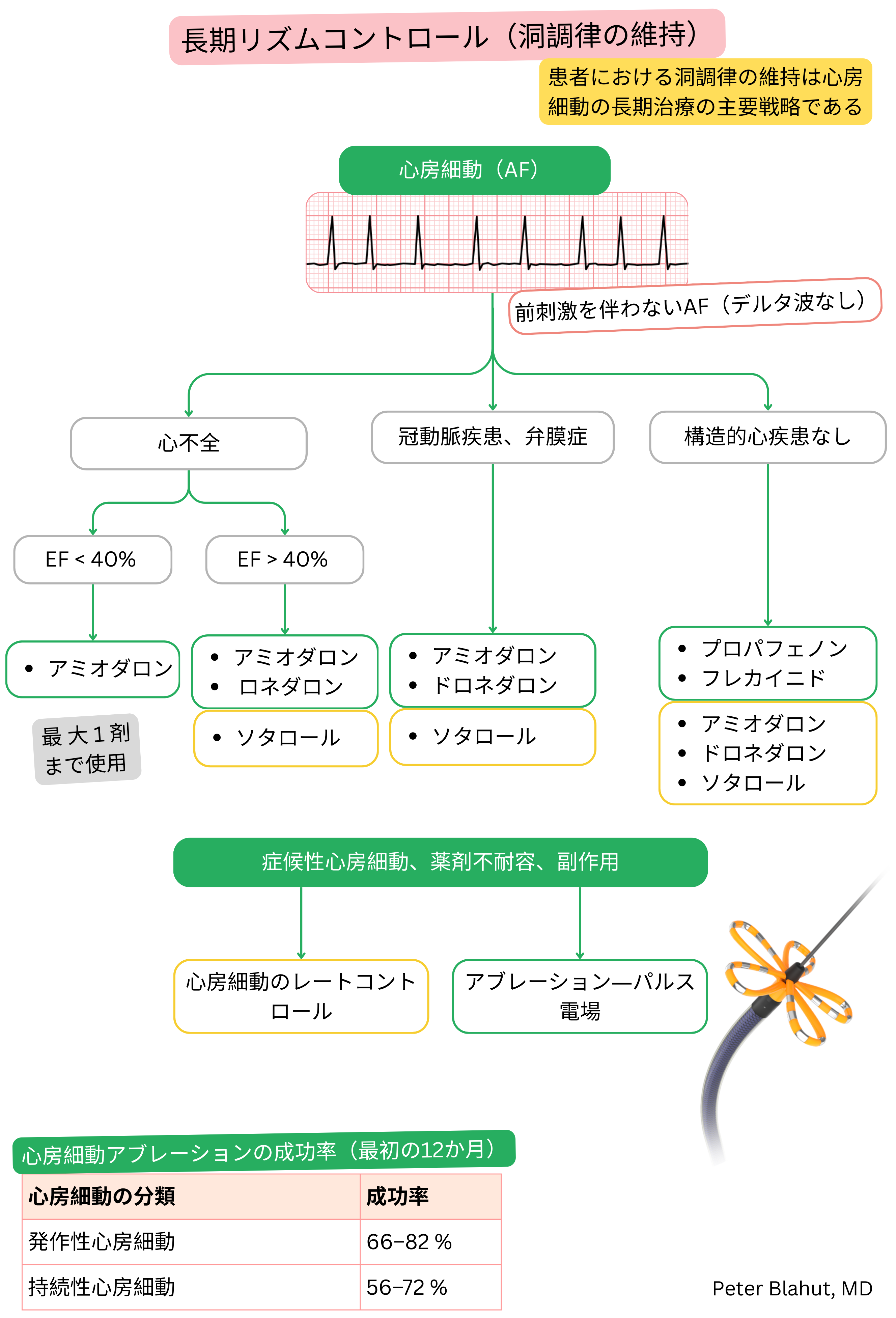 心房細動の長期リズムコントロールに関する推奨アルゴリズムで、構造的心疾患と左室機能に基づく抗不整脈薬選択およびカテーテルアブレーション適応を含む。