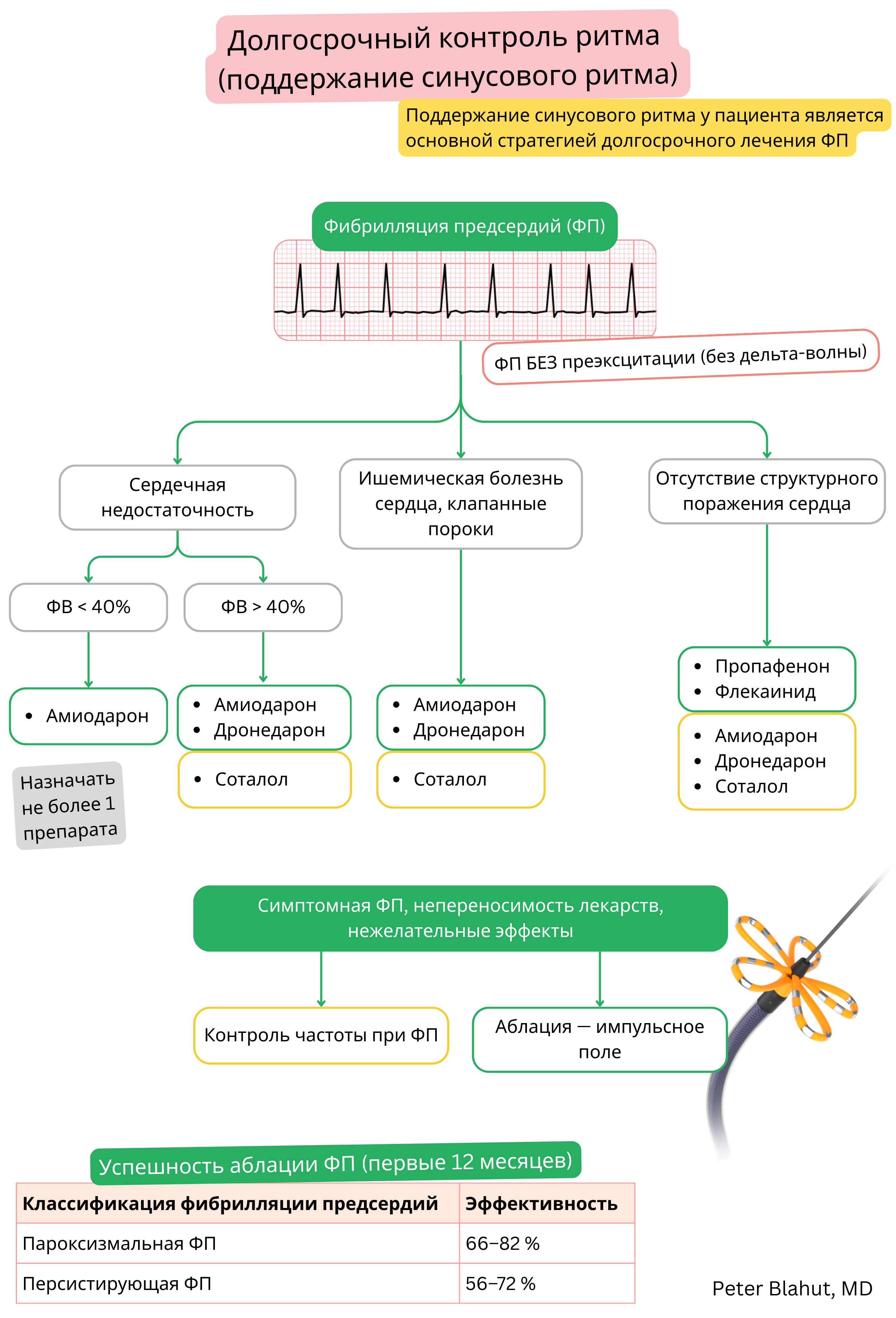 Алгоритм рекомендаций по длительному контролю ритма при фибрилляции предсердий с выбором антиаритмиков с учетом структурного заболевания сердца и функции левого желудочка, включая показания к аблации.