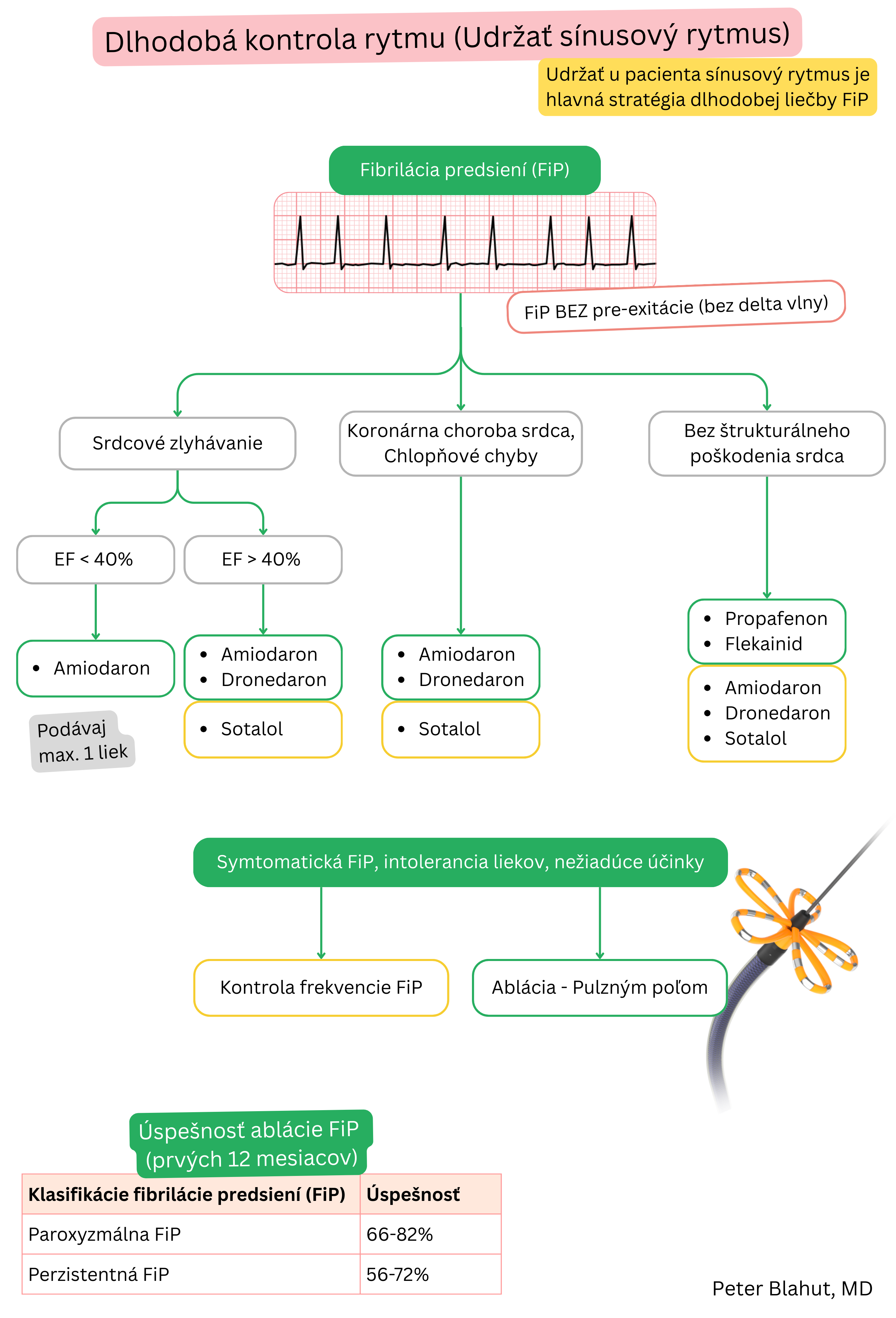 Schéma odporúčaní pre dlhodobú kontrolu rytmu pri fibrilácii predsiení s výberom antiarytmík podľa štrukturálneho ochorenia srdca a funkcie ľavej komory vrátane indikácie katétrovej ablácie.