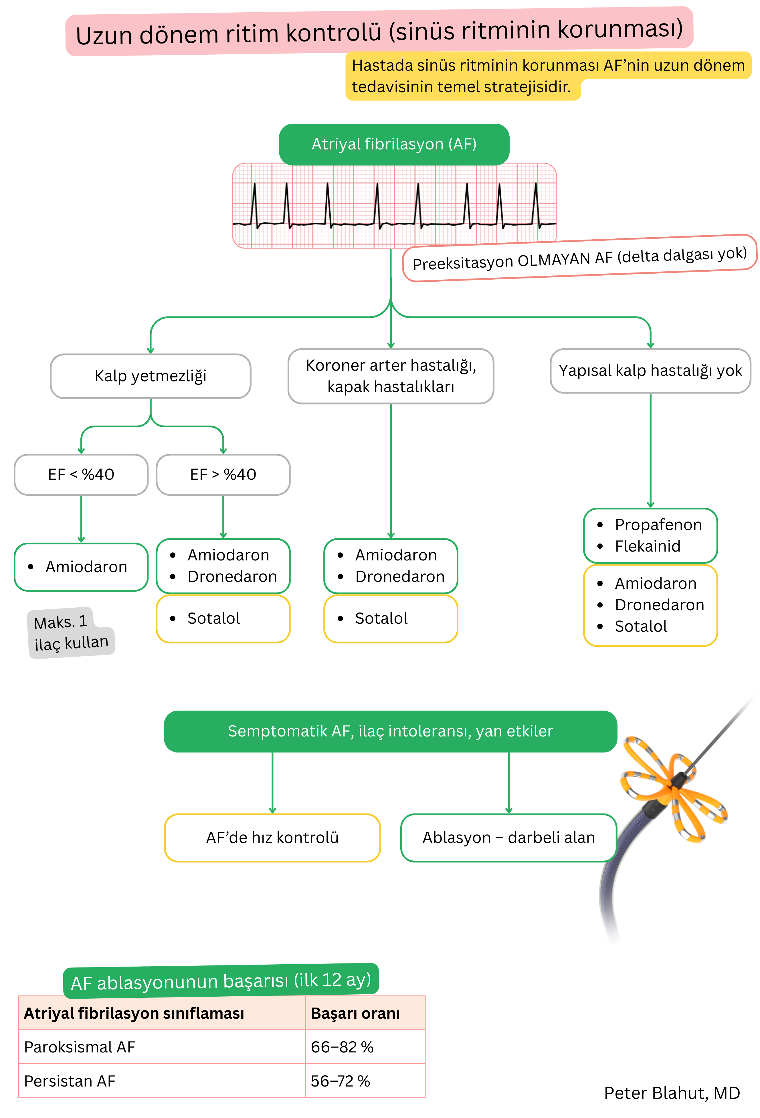 Atriyal fibrilasyonda uzun dönem ritim kontrolü için öneri algoritması; yapısal kalp hastalığı ve sol ventrikül fonksiyonuna göre antiaritmik seçimi ve ablasyon endikasyonunu içerir.