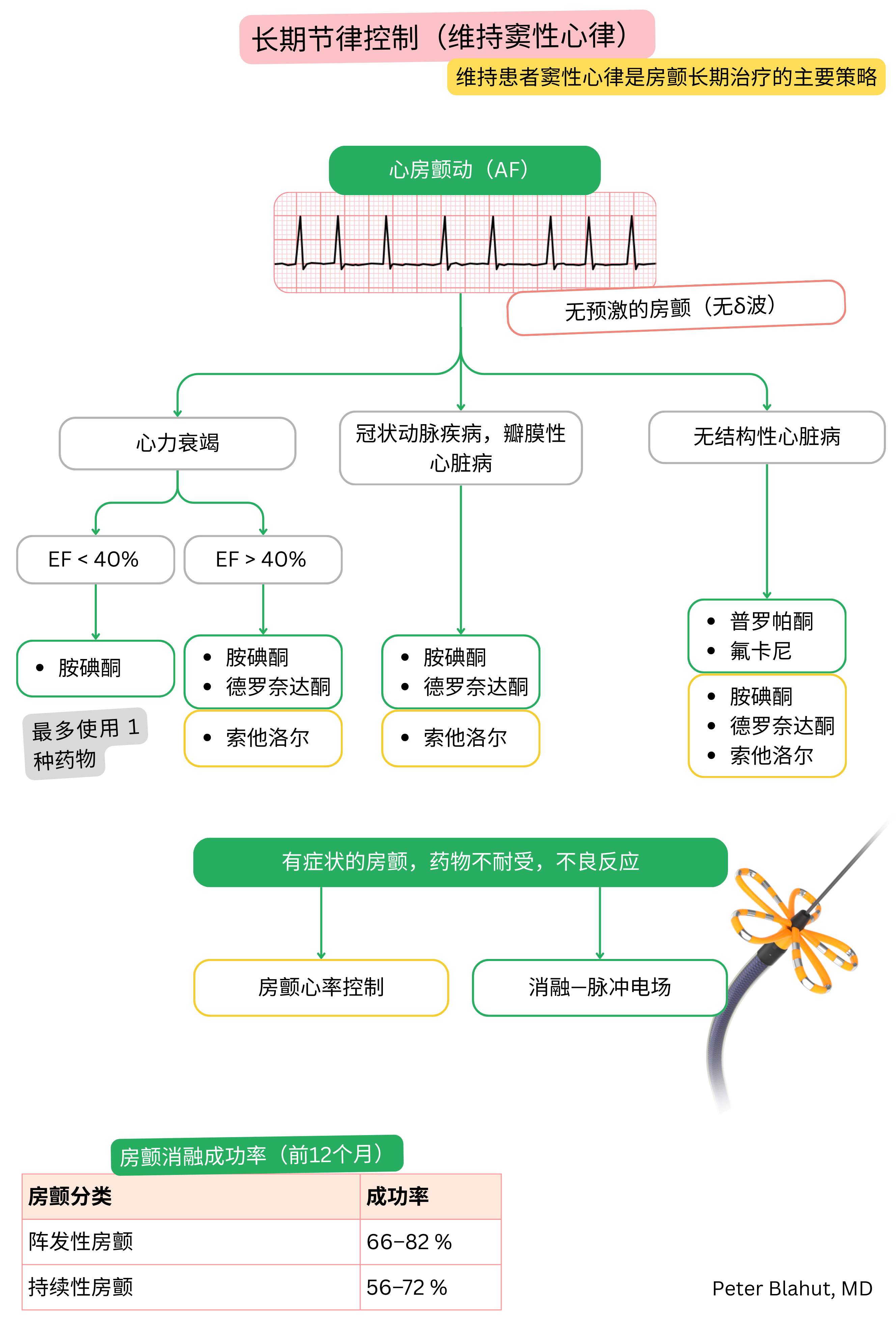 房颤长期节律控制推荐流程，根据结构性心脏病及左心室功能选择抗心律失常药物，并包括导管消融适应证。