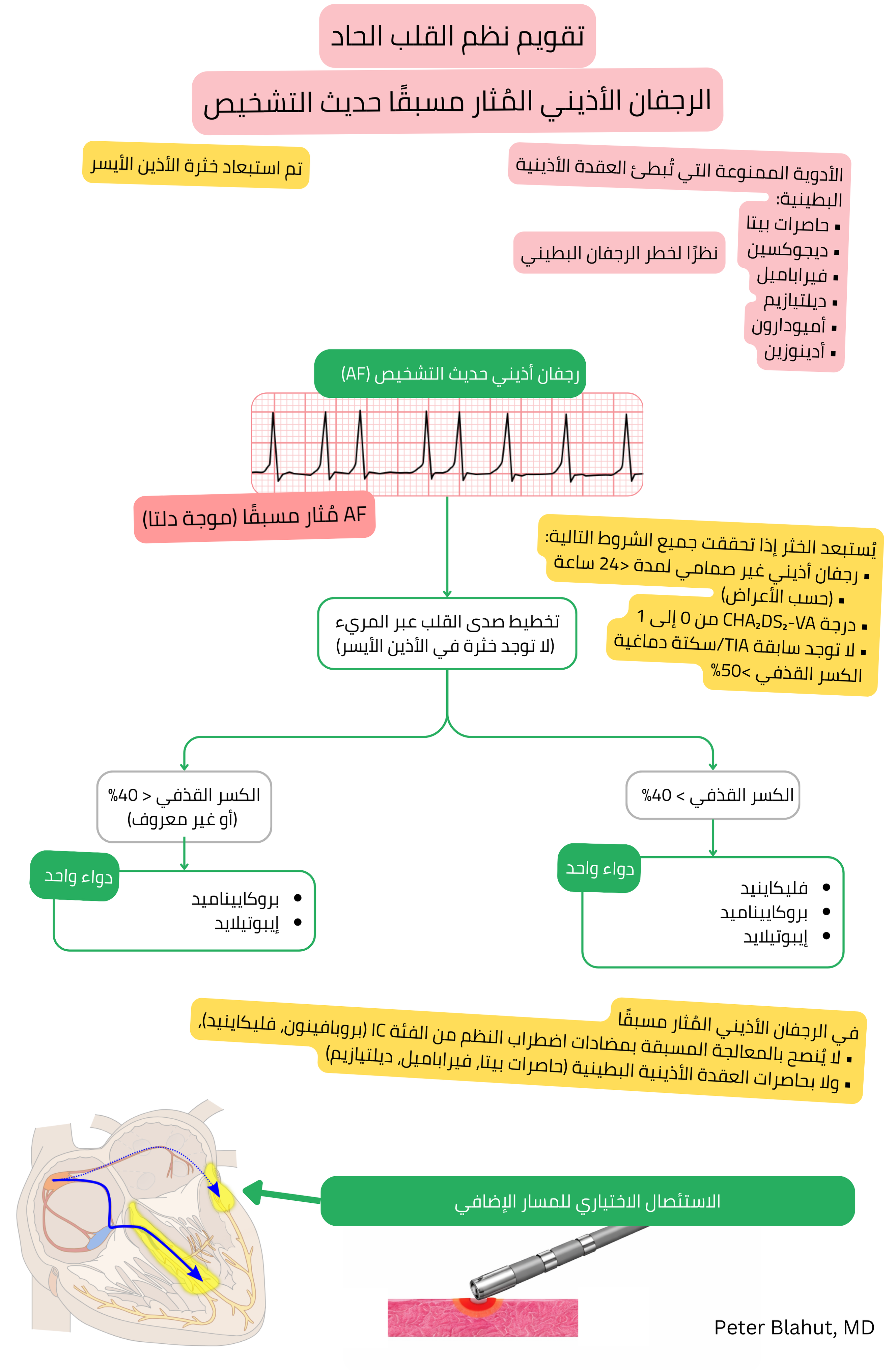 خوارزمية توصيات للتقويم القلبي الحاد في الرجفان الأذيني مع الاستثارة المسبقة حديث التشخيص مع مضاد استطباب لحاصرات العقدة الأذينية البطينية واختيار مضادات اضطراب النظم وفق الكسر القذفي.