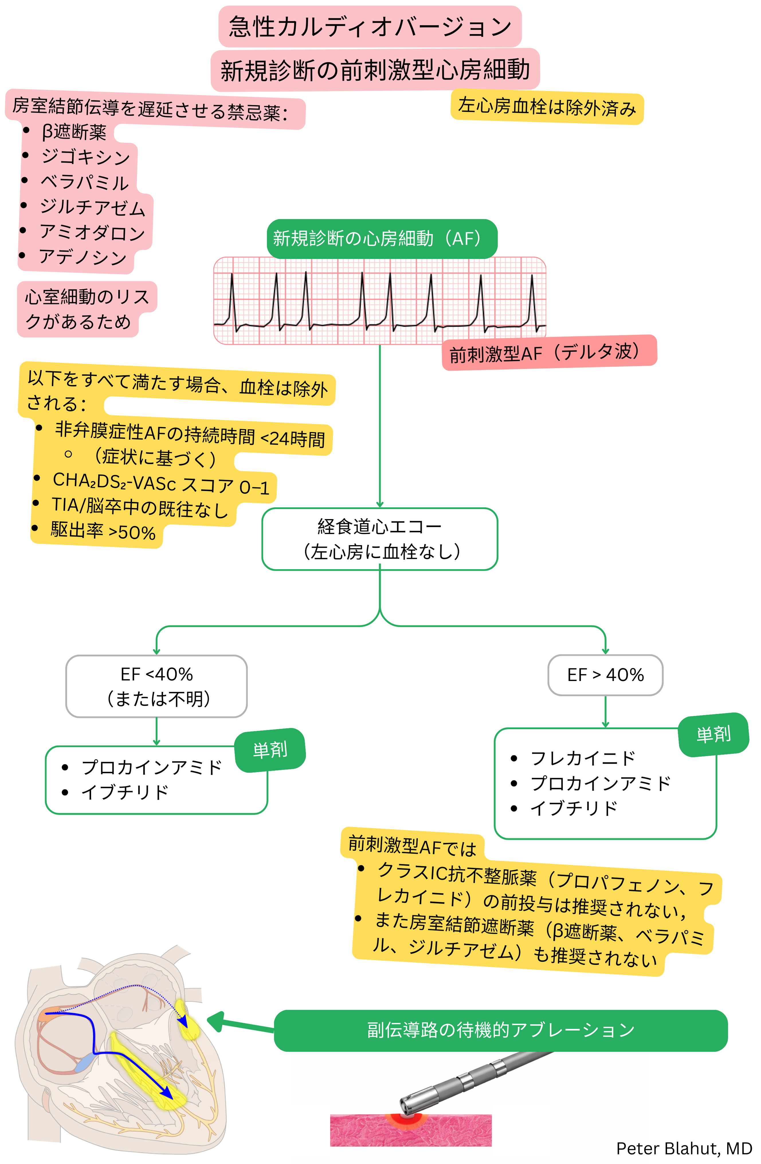 新規診断の前興奮性心房細動に対する急性カルディオバージョンの推奨アルゴリズムで、房室結節遮断薬禁忌および駆出率に基づく抗不整脈薬選択を含む。