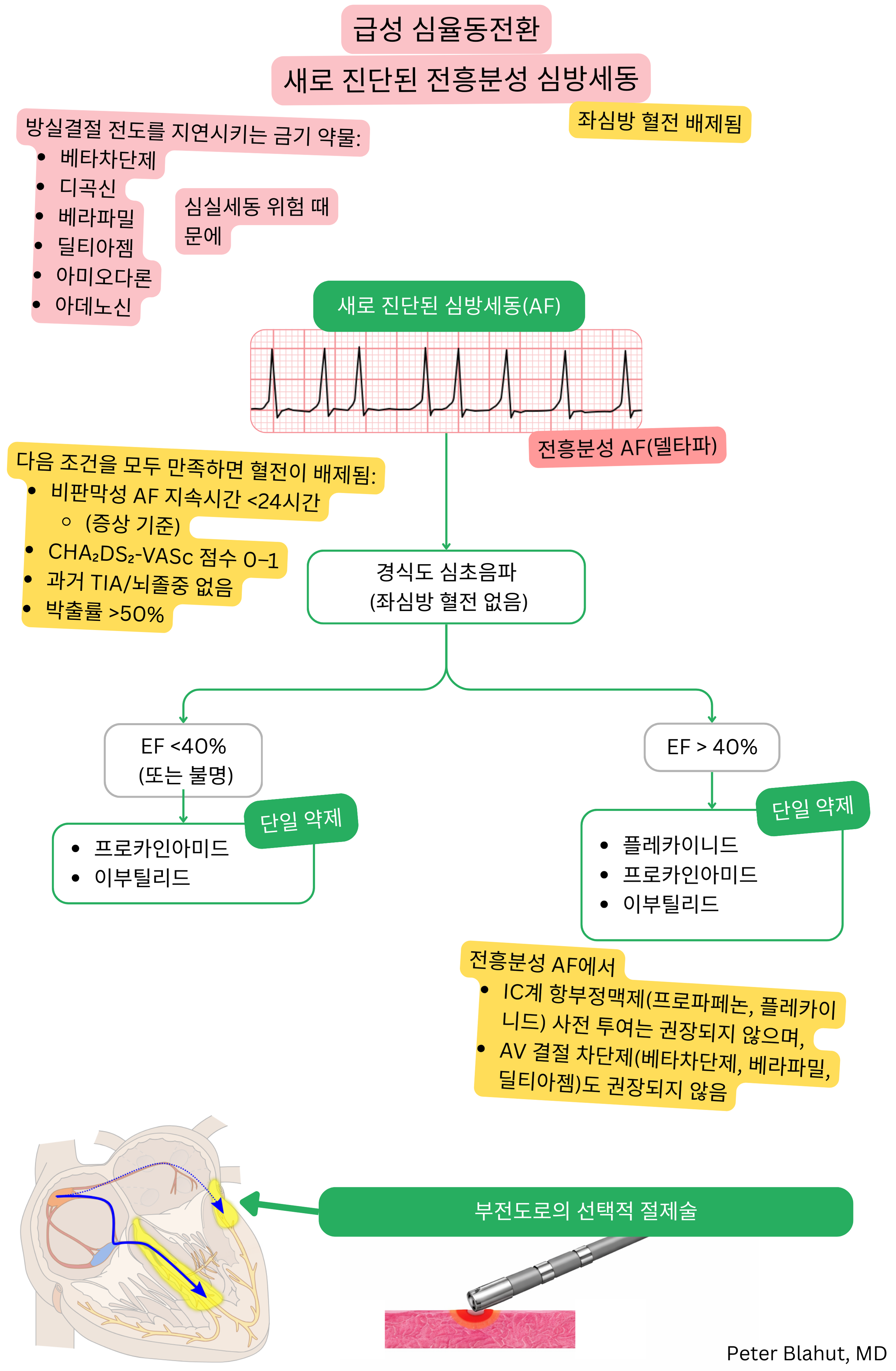 새로 진단된 전흥분성 심방세동에서 급성 심율동전환을 위한 권고 알고리즘으로 AV 결절 차단제 금기와 박출률에 따른 항부정맥제 선택을 포함한다.