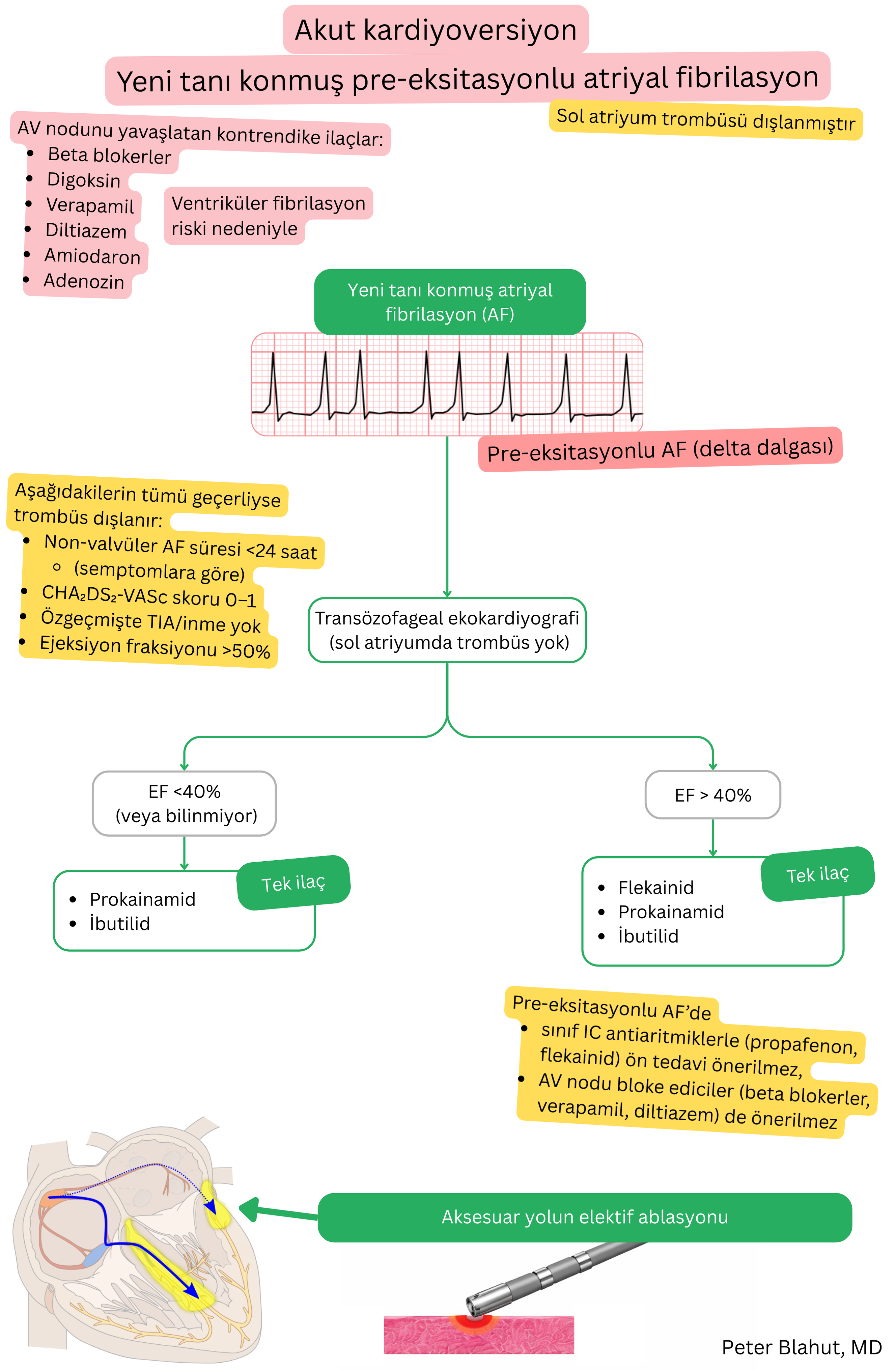 Yeni tanı konmuş preeksite atriyal fibrilasyonda akut kardiyoversiyon için öneri algoritması; AV nodal blokerlerin kontrendike olduğu ve ejeksiyon fraksiyonuna göre antiaritmik seçimini içerir.