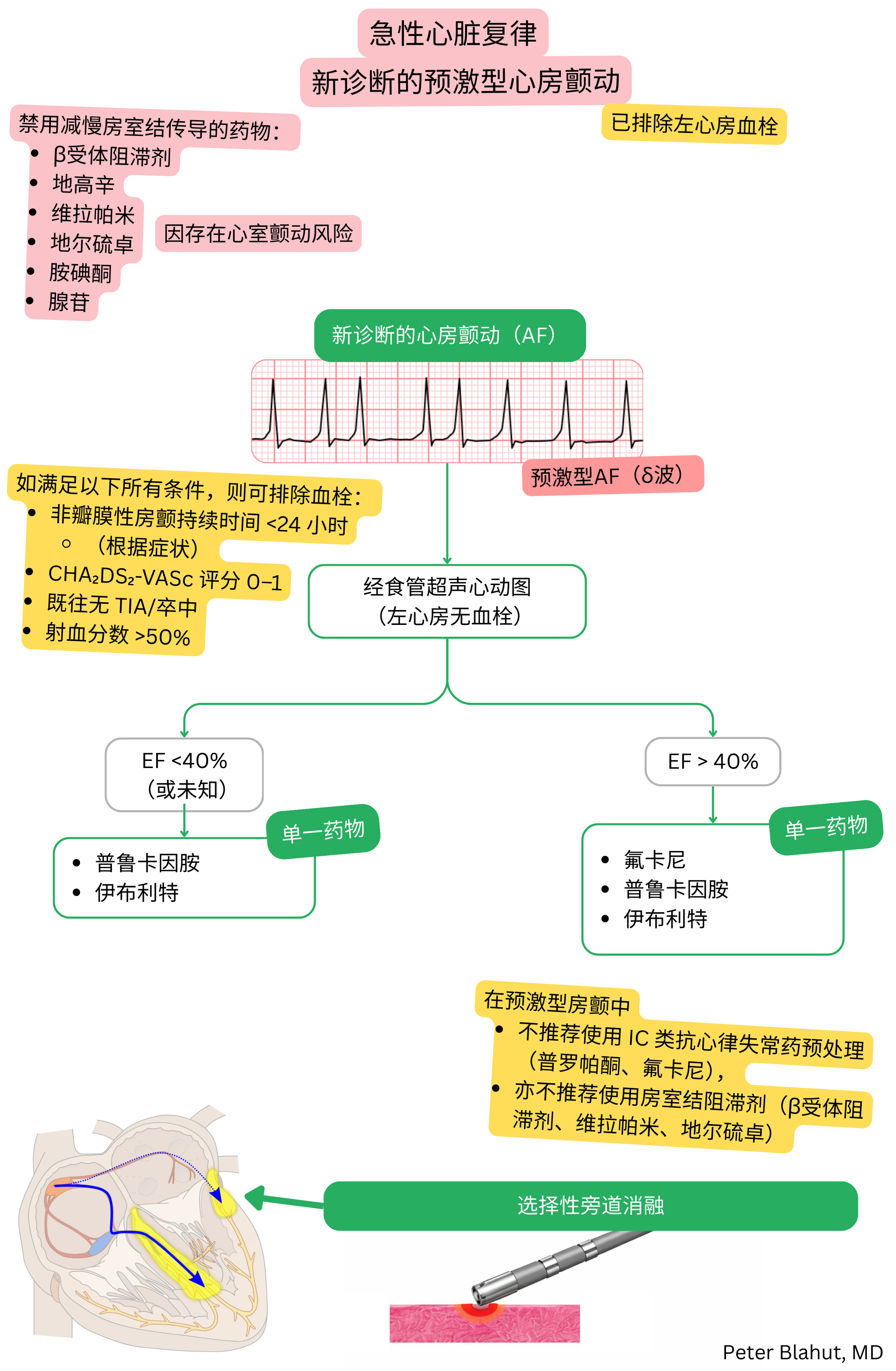 新诊断预激性房颤急性复律推荐流程，禁用房室结阻滞剂，并根据射血分数选择抗心律失常药物。