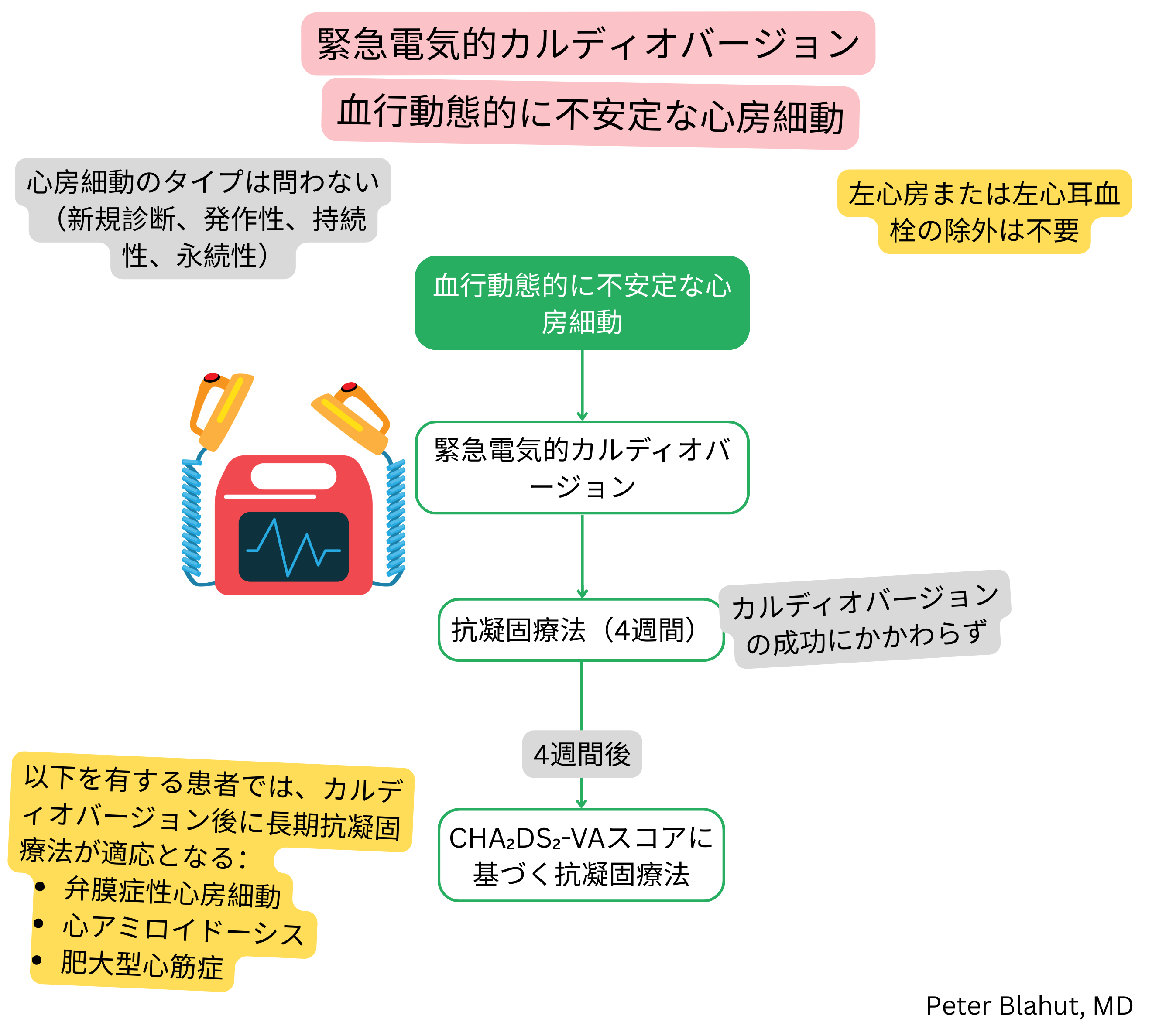 血行動態不安定な心房細動の管理アルゴリズムで、緊急電気的カルディオバージョンとCHA₂DS₂-VAスコアに基づく抗凝固療法を含む。