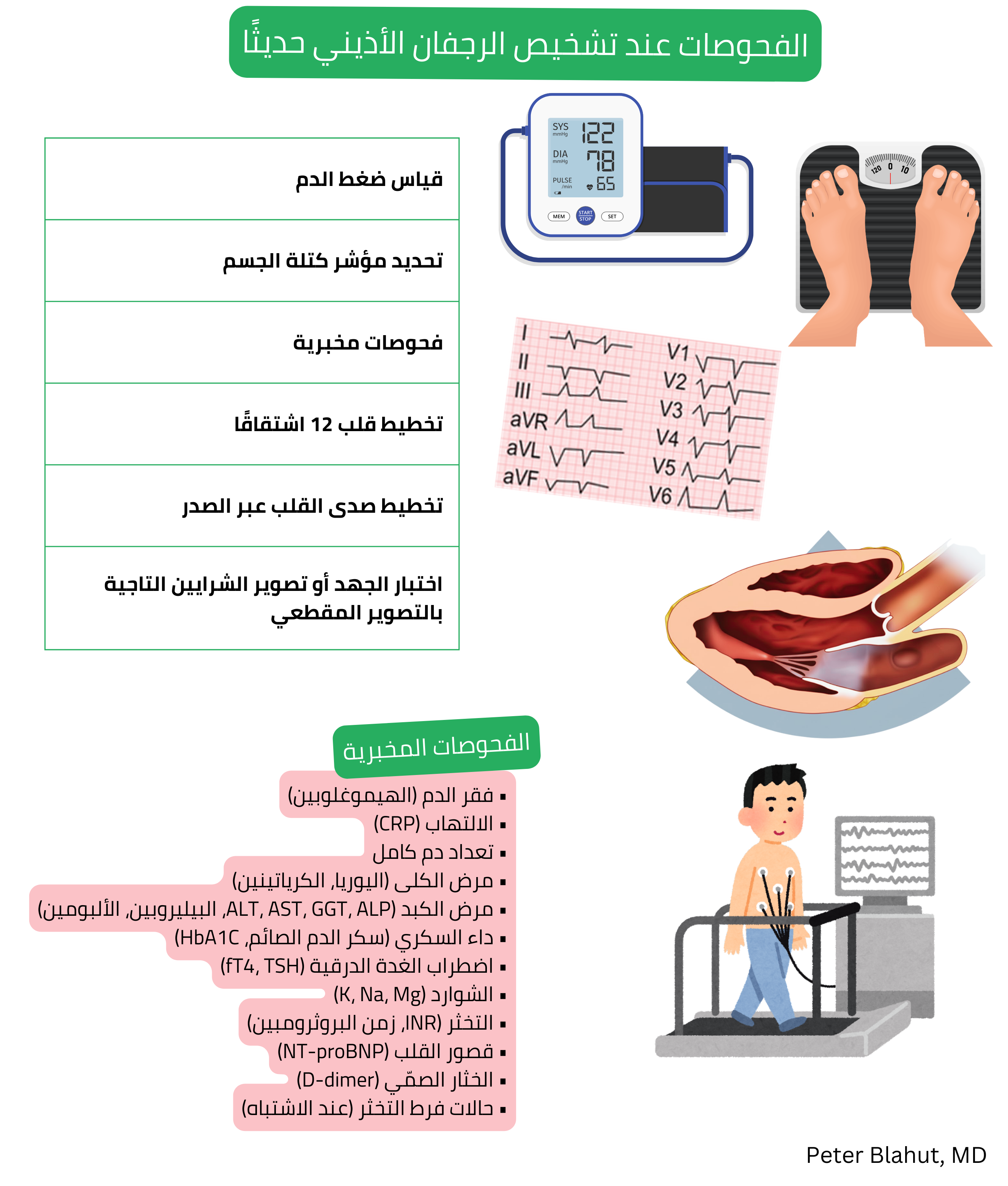 نظرة عامة على الفحوصات الموصى بها عند تشخيص الرجفان الأذيني حديثًا بما في ذلك قياس ضغط الدم ومؤشر كتلة الجسم، التحاليل المخبرية، تخطيط قلب بـ12 اشتقاقًا، تخطيط صدى القلب عبر الصدر واختبار الجهد أو تصوير الشرايين التاجية بالتصوير المقطعي.