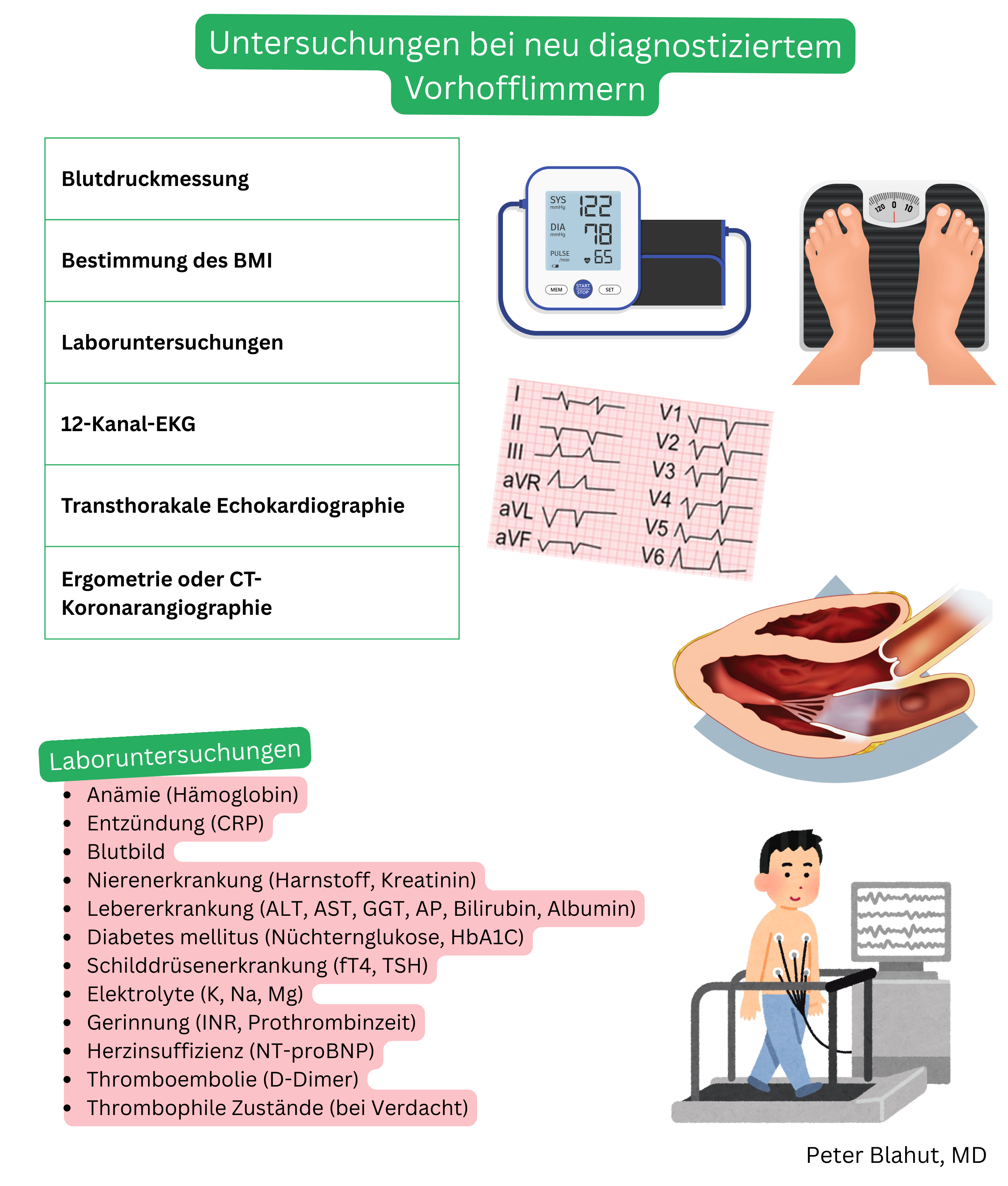 Überblick über empfohlene Untersuchungen bei neu diagnostiziertem Vorhofflimmern einschließlich Blutdruck- und BMI-Messung, Laboruntersuchungen, 12-Kanal-EKG, transthorakaler Echokardiographie sowie Belastungstest oder Koronar-CT-Angiographie.