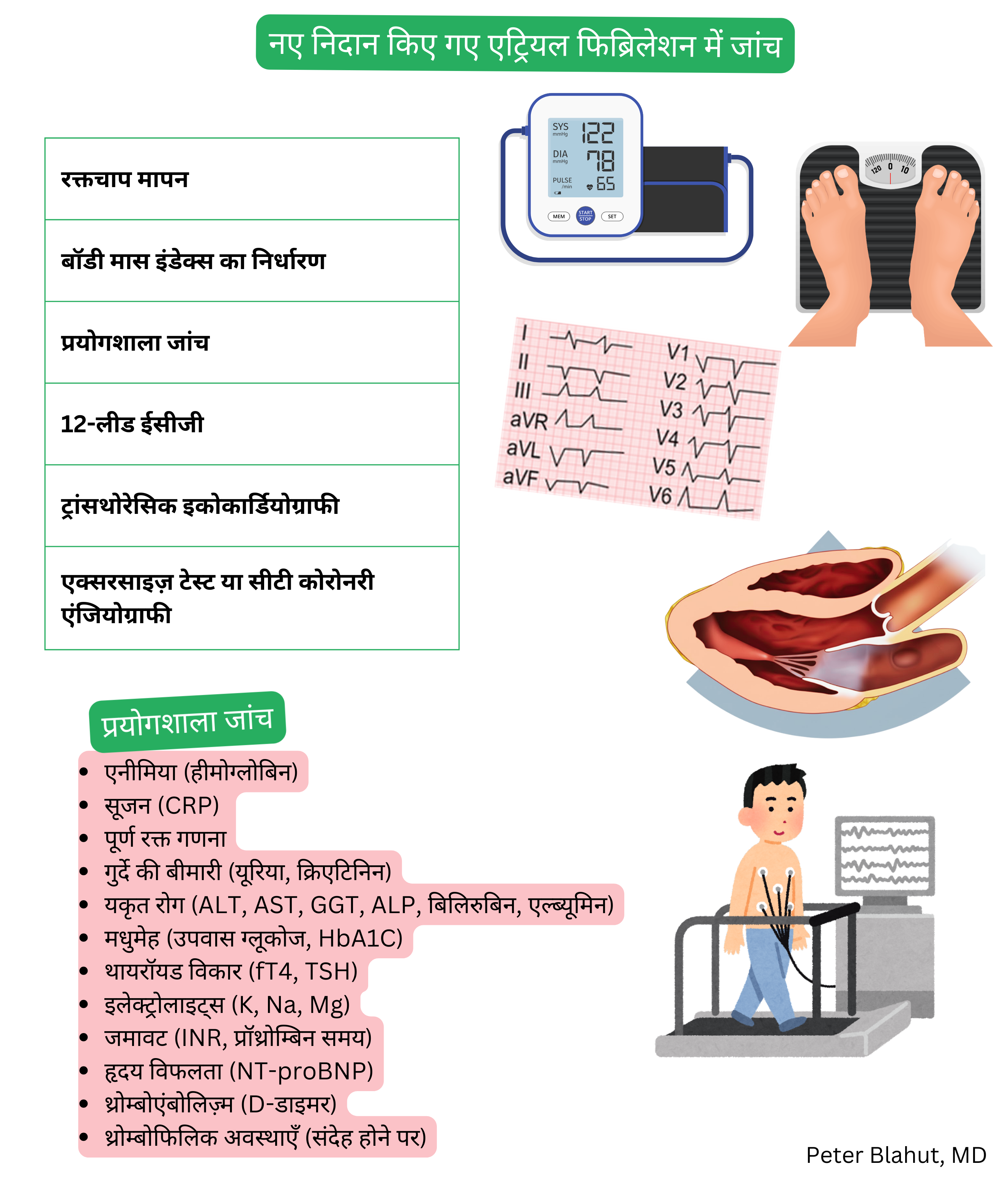 नव-निदानित एट्रियल फिब्रिलेशन में अनुशंसित जांचों का अवलोकन, जिसमें रक्तचाप और BMI मापन, प्रयोगशाला परीक्षण, 12-लीड ईसीजी, ट्रांसथोरेसिक इकोकार्डियोग्राफी तथा व्यायाम परीक्षण या कोरोनरी CT एंजियोग्राफी शामिल हैं।