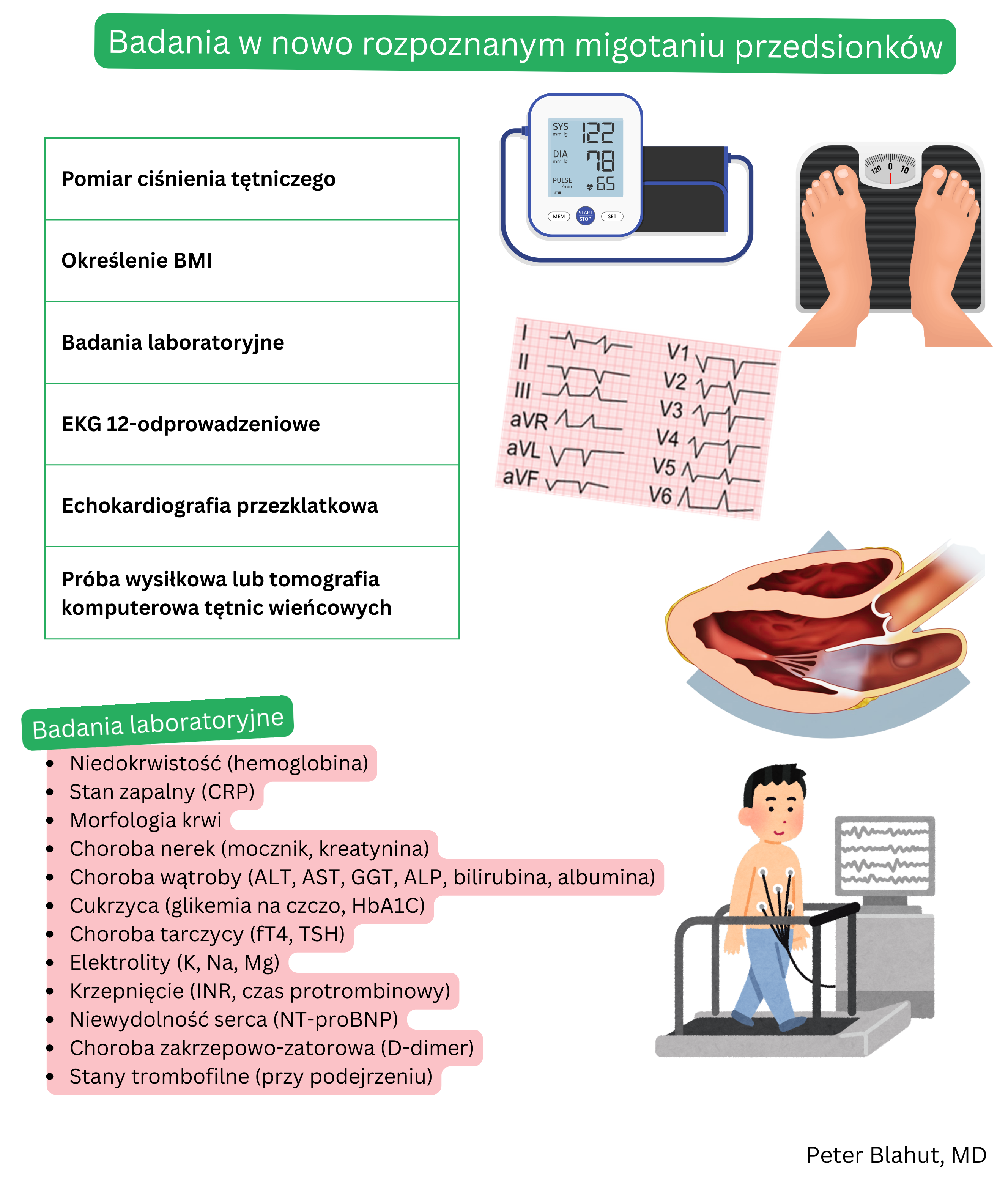Przegląd zalecanych badań w nowo rozpoznanym migotaniu przedsionków obejmujący pomiar ciśnienia tętniczego i BMI, badania laboratoryjne, 12-odprowadzeniowe EKG, echokardiografię przezklatkową oraz próbę wysiłkową lub angiografię wieńcową CT.