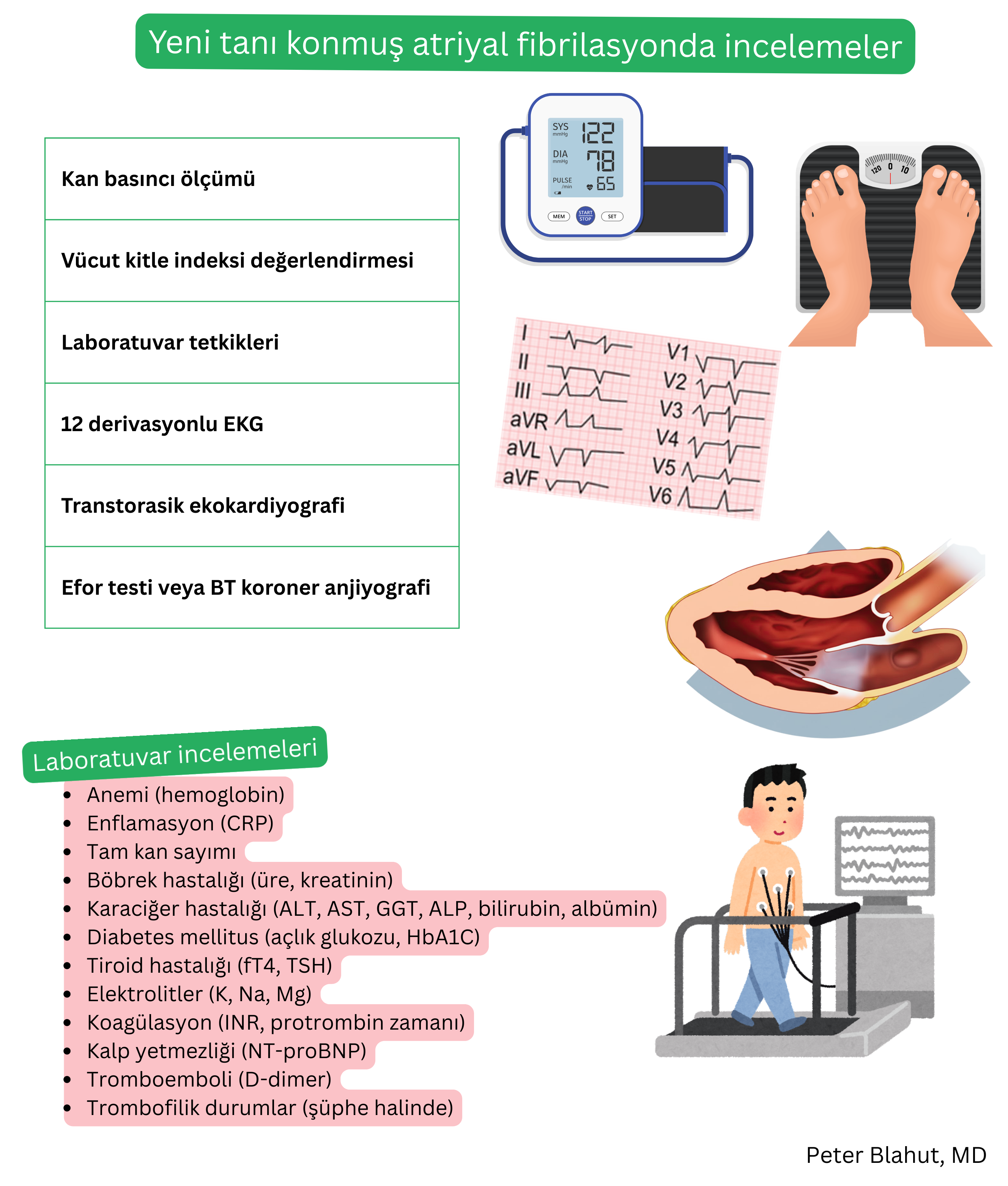 Yeni tanı konmuş atriyal fibrilasyonda önerilen değerlendirmelerin genel görünümü; kan basıncı ve BKİ ölçümü, laboratuvar testleri, 12 derivasyonlu EKG, transtorasik ekokardiyografi ve efor testi veya koroner BT anjiyografiyi içerir.