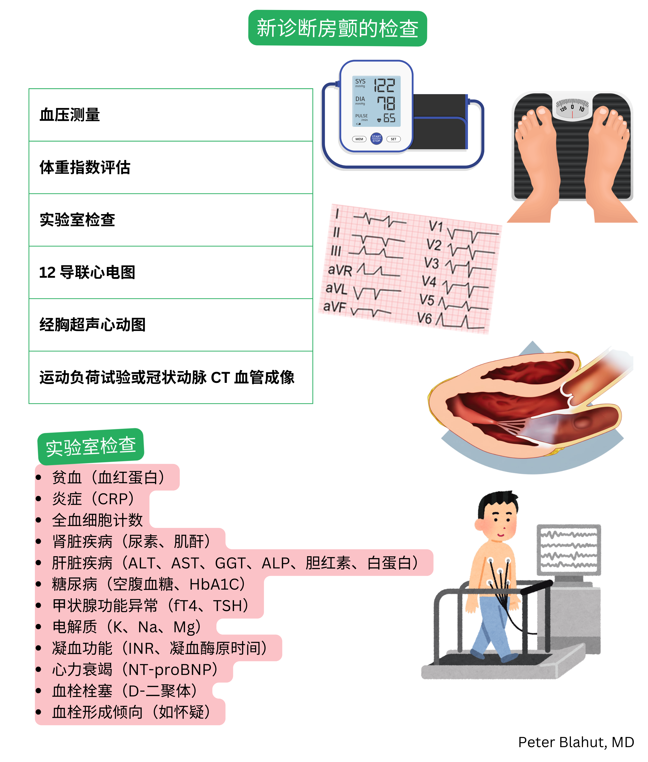 新诊断房颤的推荐检查概述，包括血压和BMI测量、实验室检测、12导联心电图、经胸超声心动图及运动负荷试验或冠状动脉CT血管成像。