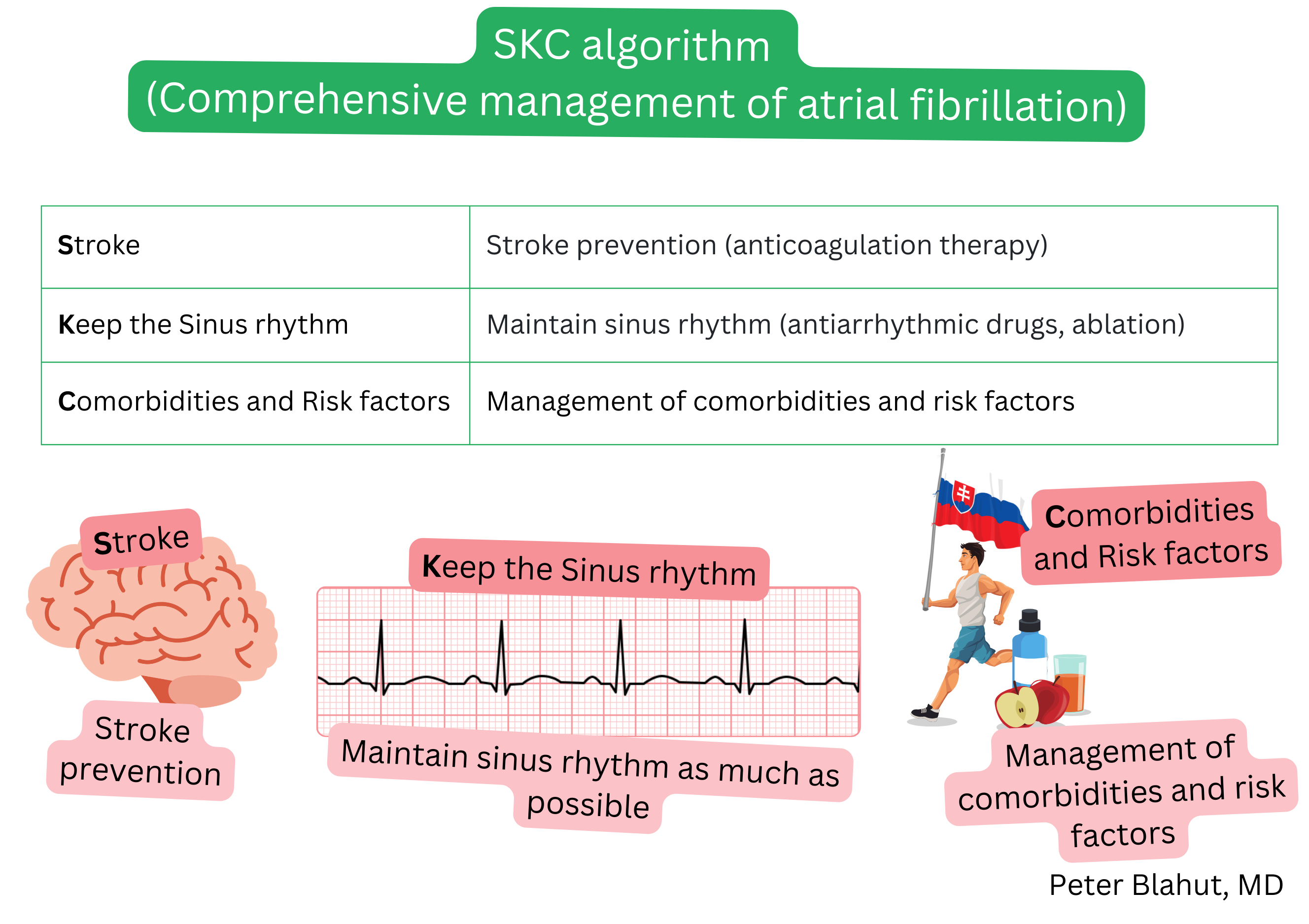 Diagram of the SKC algorithm for comprehensive atrial fibrillation management including stroke prevention with anticoagulation, maintenance of sinus rhythm and treatment of comorbidities and risk factors.