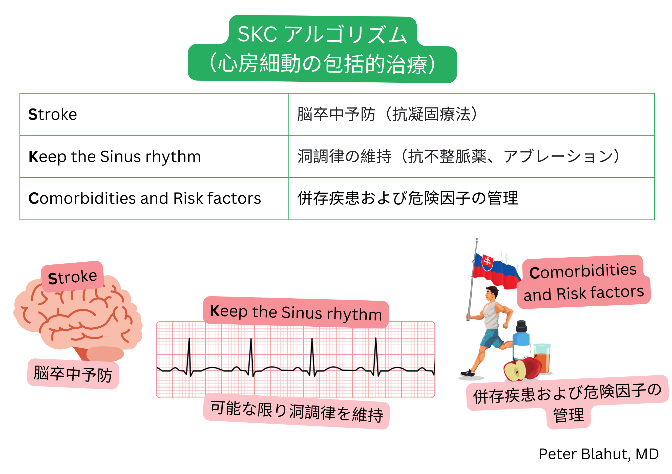 抗凝固療法による脳卒中予防、洞調律維持および併存疾患と危険因子の治療を含む心房細動の包括的管理SKCアルゴリズムの模式図。