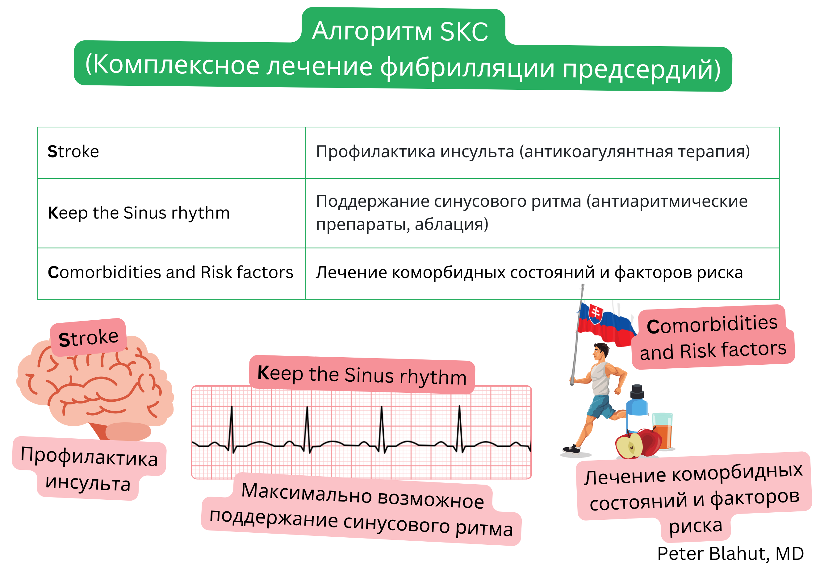 Схема алгоритма SKC комплексного ведения фибрилляции предсердий, включающая профилактику инсульта антикоагуляцией, поддержание синусового ритма и лечение коморбидности и факторов риска.