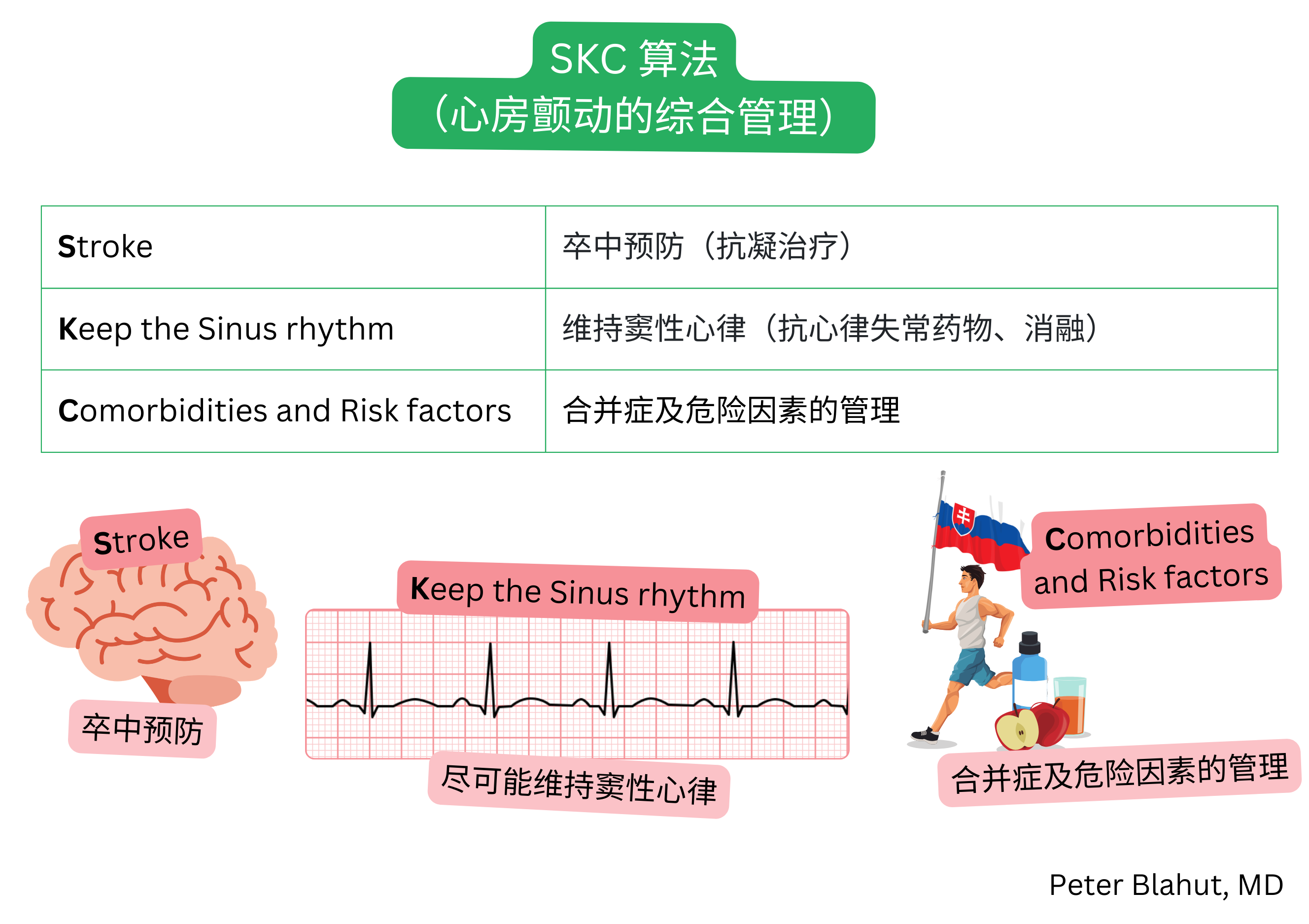 房颤综合管理SKC算法示意图，包括抗凝预防卒中、维持窦性心律以及合并症和危险因素的治疗。