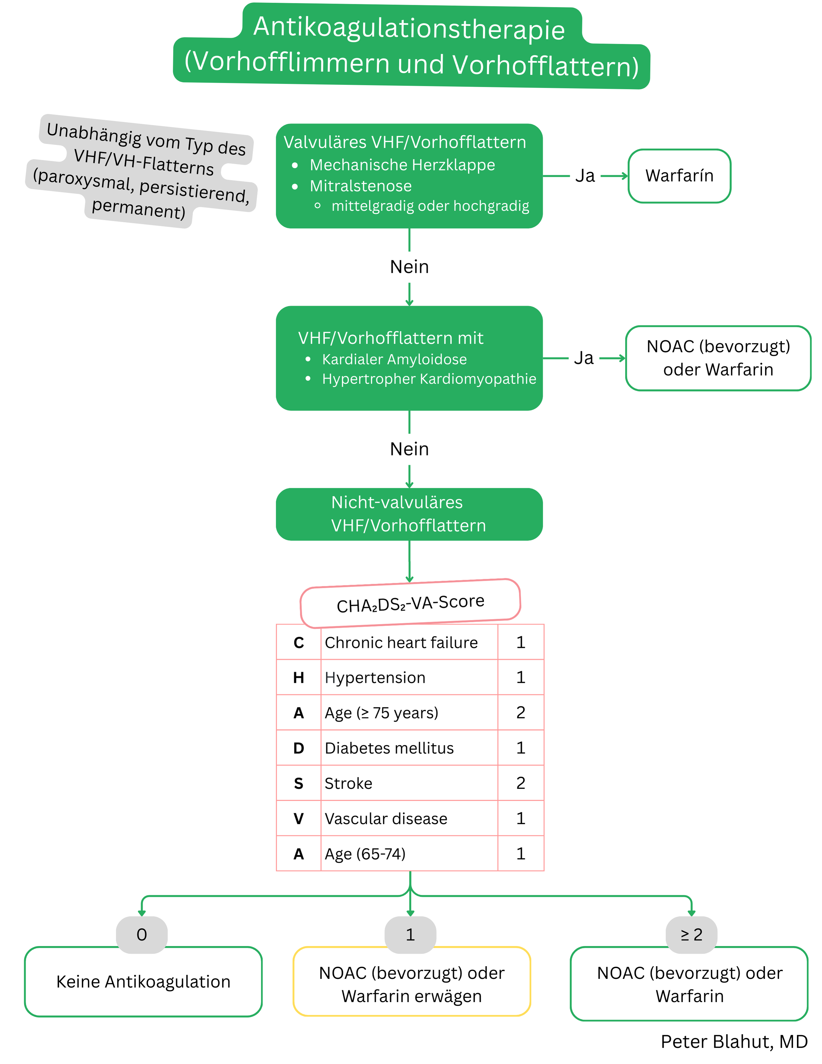 Algorithmus zur Antikoagulation bei Vorhofflimmern und Vorhofflattern abhängig von valvulärer Ätiologie und CHA2DS2-VA-Score mit Empfehlung von Warfarin oder NOAK.