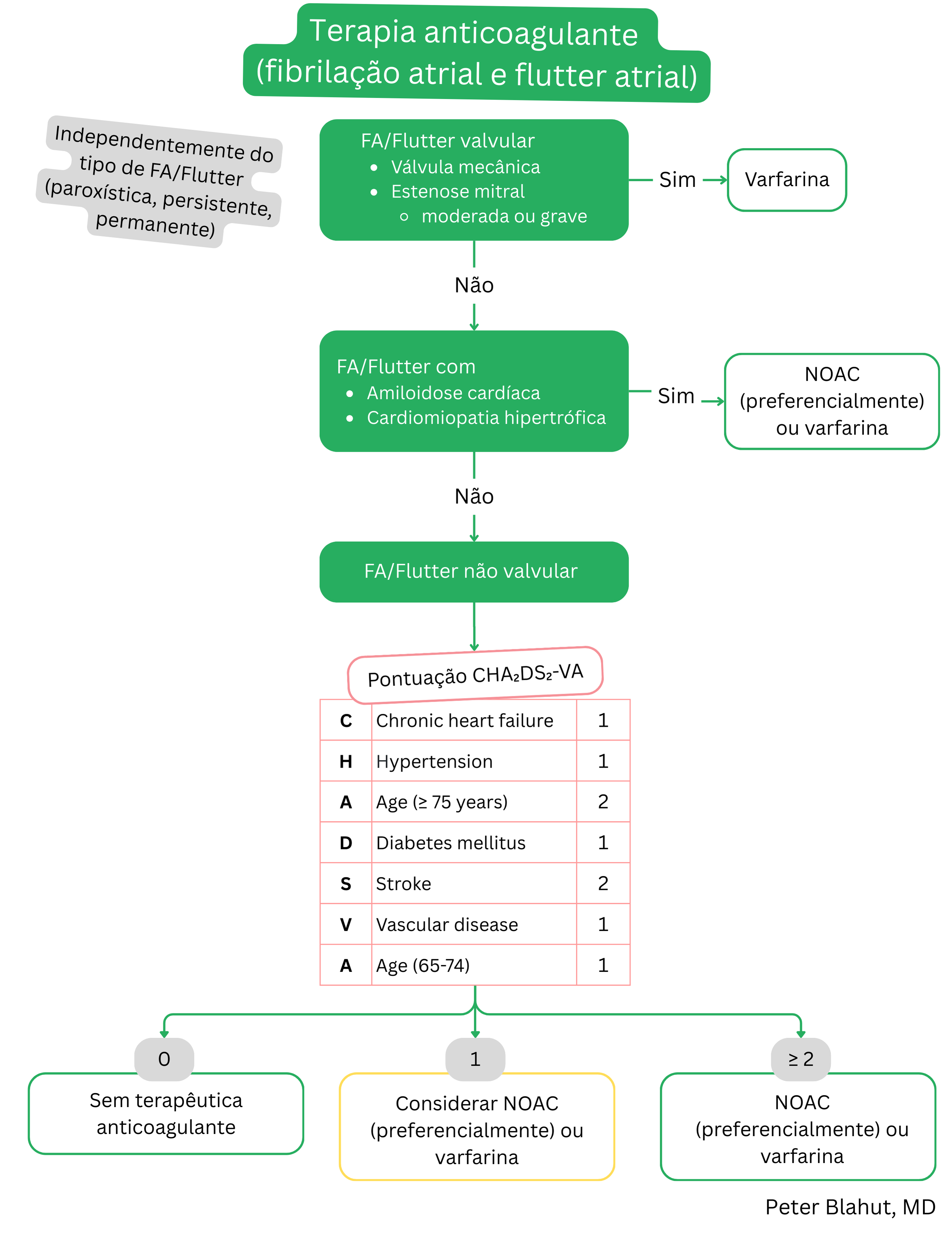Algoritmo de anticoagulação na fibrilação atrial e flutter atrial de acordo com etiologia valvar e escore CHA2DS2-VA com recomendação de varfarina ou NOAC.