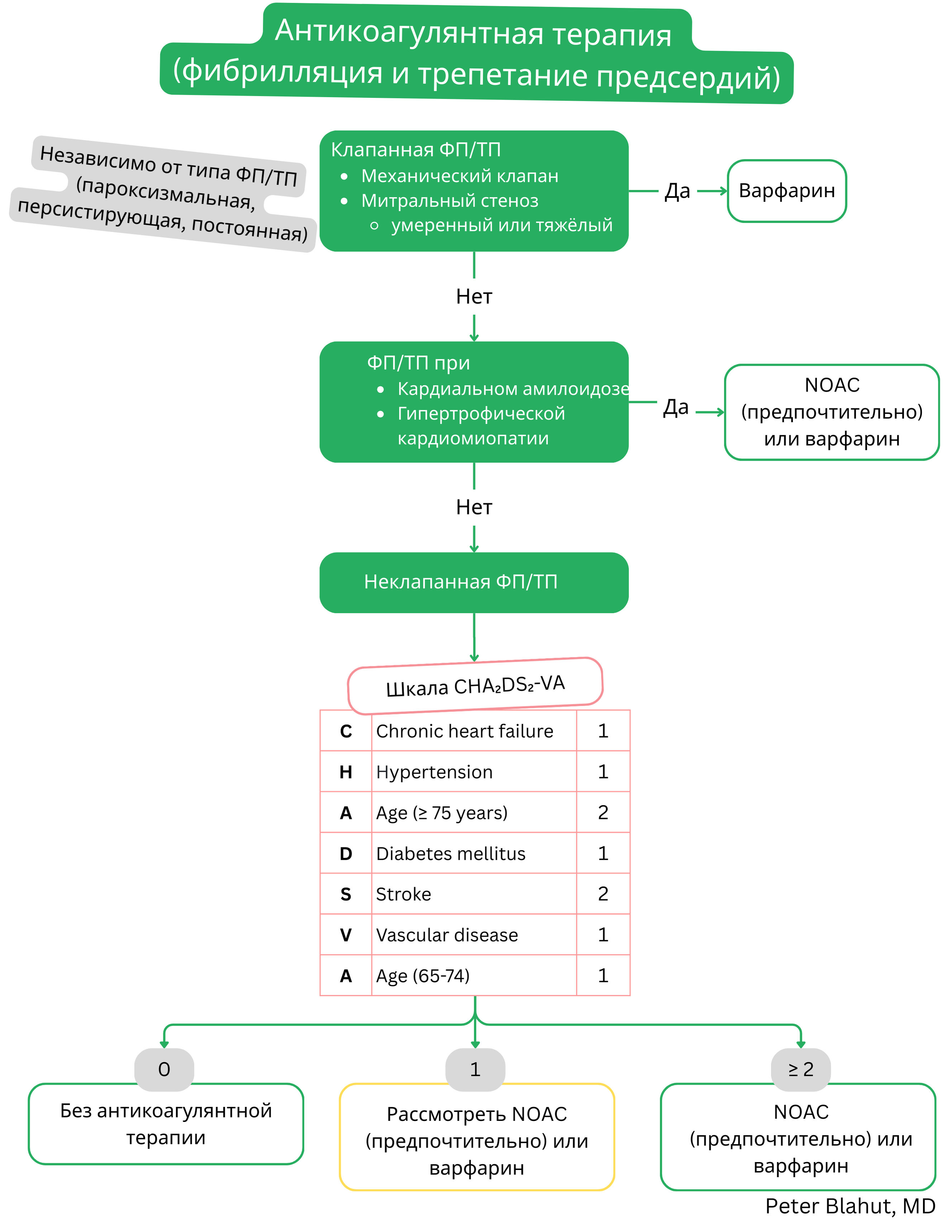 Алгоритм антикоагулянтной терапии при фибрилляции и трепетании предсердий с учетом клапанной этиологии и шкалы CHA2DS2-VA с рекомендацией варфарина или НОАК.