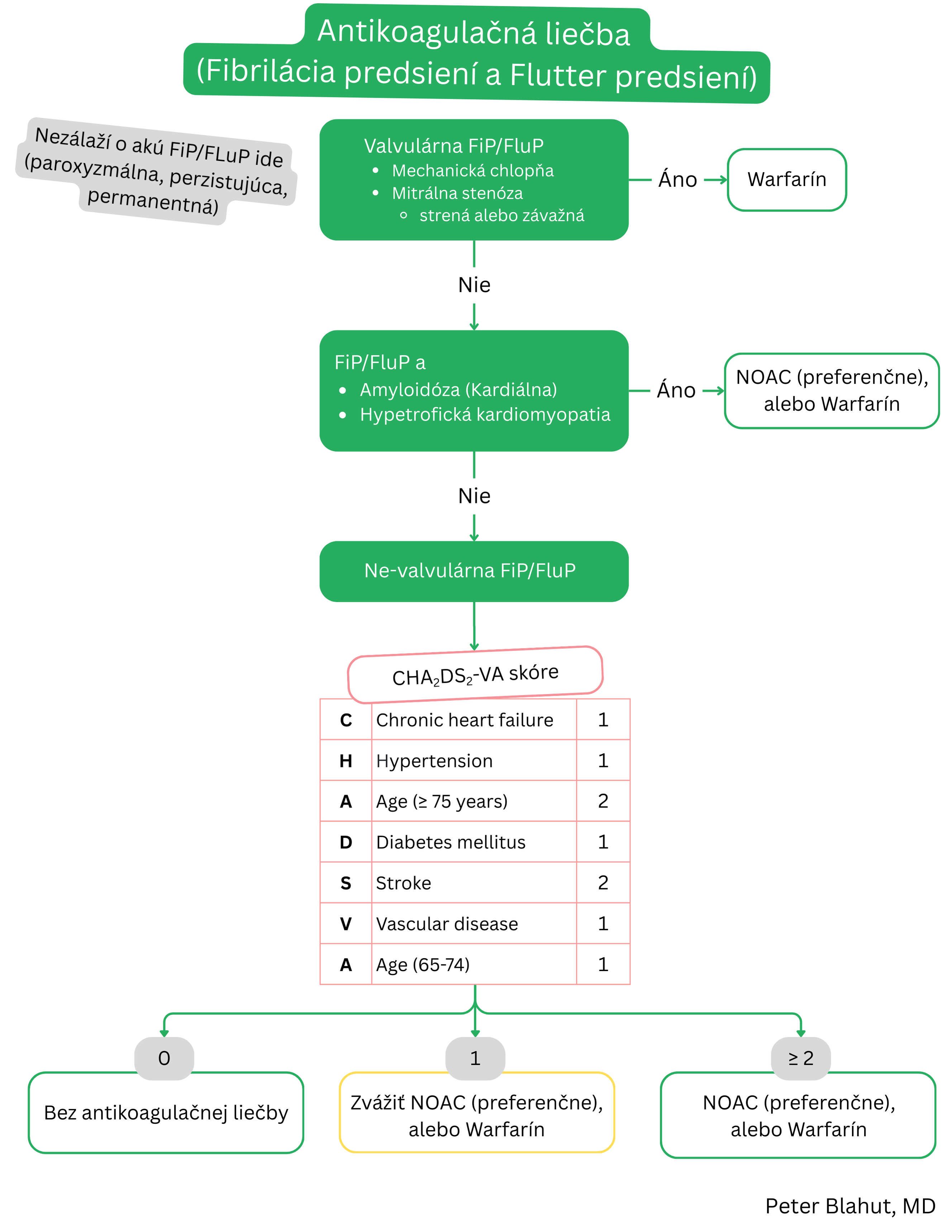 Algoritmus antikoagulačnej liečby pri fibrilácii predsiení a flutteri predsiení podľa prítomnosti valvulárnej etiológie a skóre CHA2DS2-VA s odporúčaním warfarínu alebo NOAC.