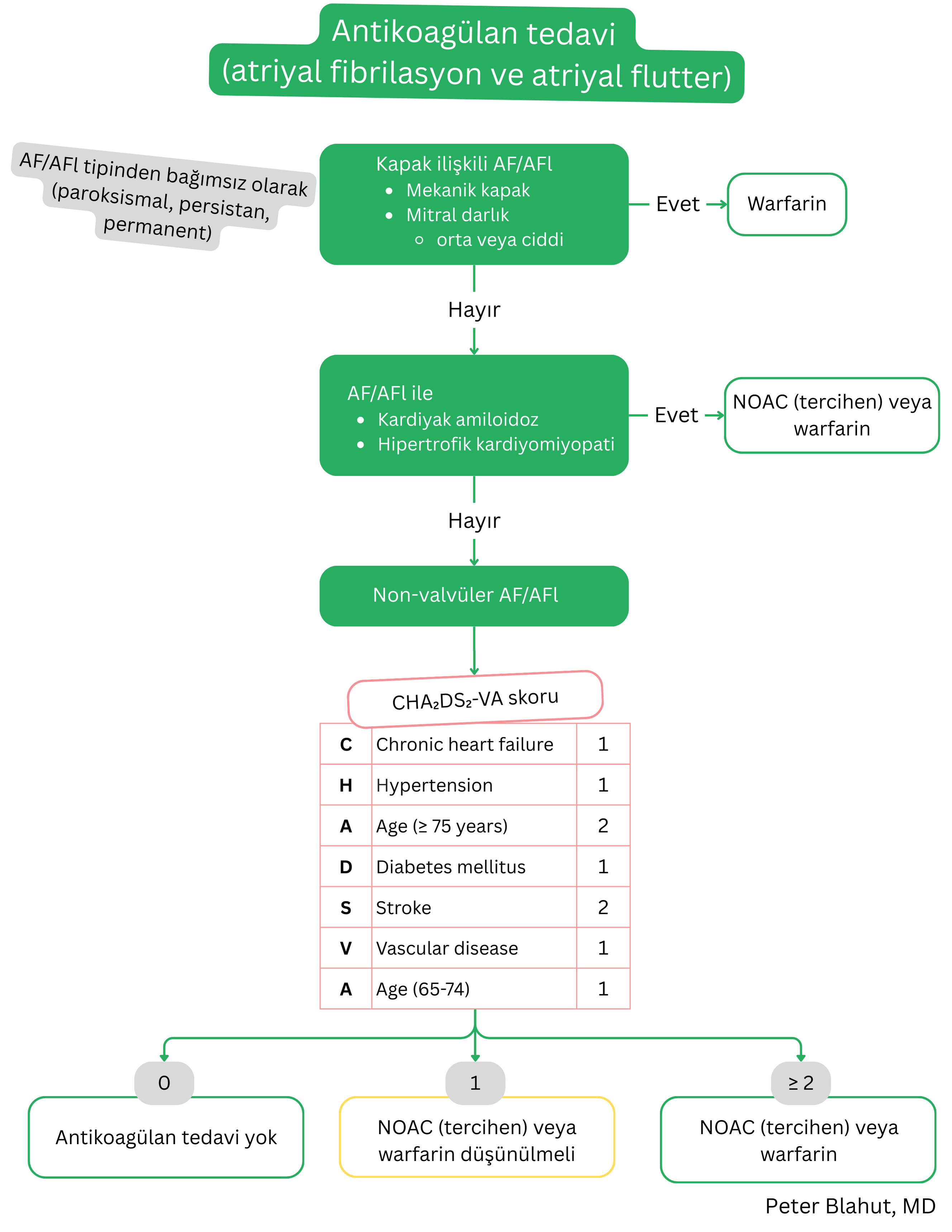 Valvüler etiyoloji ve CHA2DS2-VA skoruna göre atriyal fibrilasyon ve atriyal flutterda antikoagülasyon tedavisi algoritması; varfarin veya NOAC önerisini içerir.