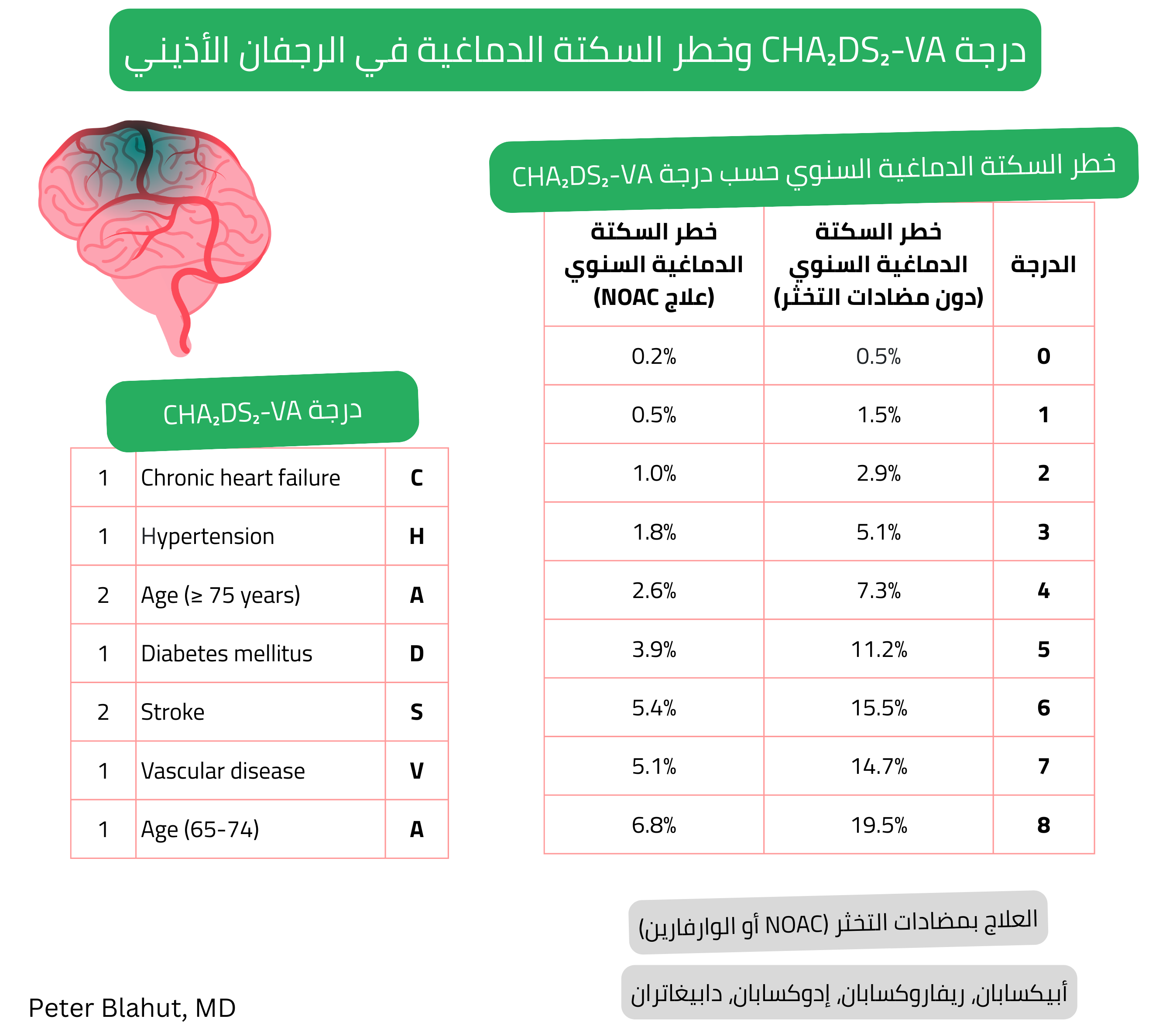 نظرة عامة على درجة CHA2DS2-VA وخطر السكتة الدماغية السنوي في الرجفان الأذيني مع مقارنة الخطر دون مضادات التخثر وأثناء العلاج بمضادات التخثر الفموية المباشرة.