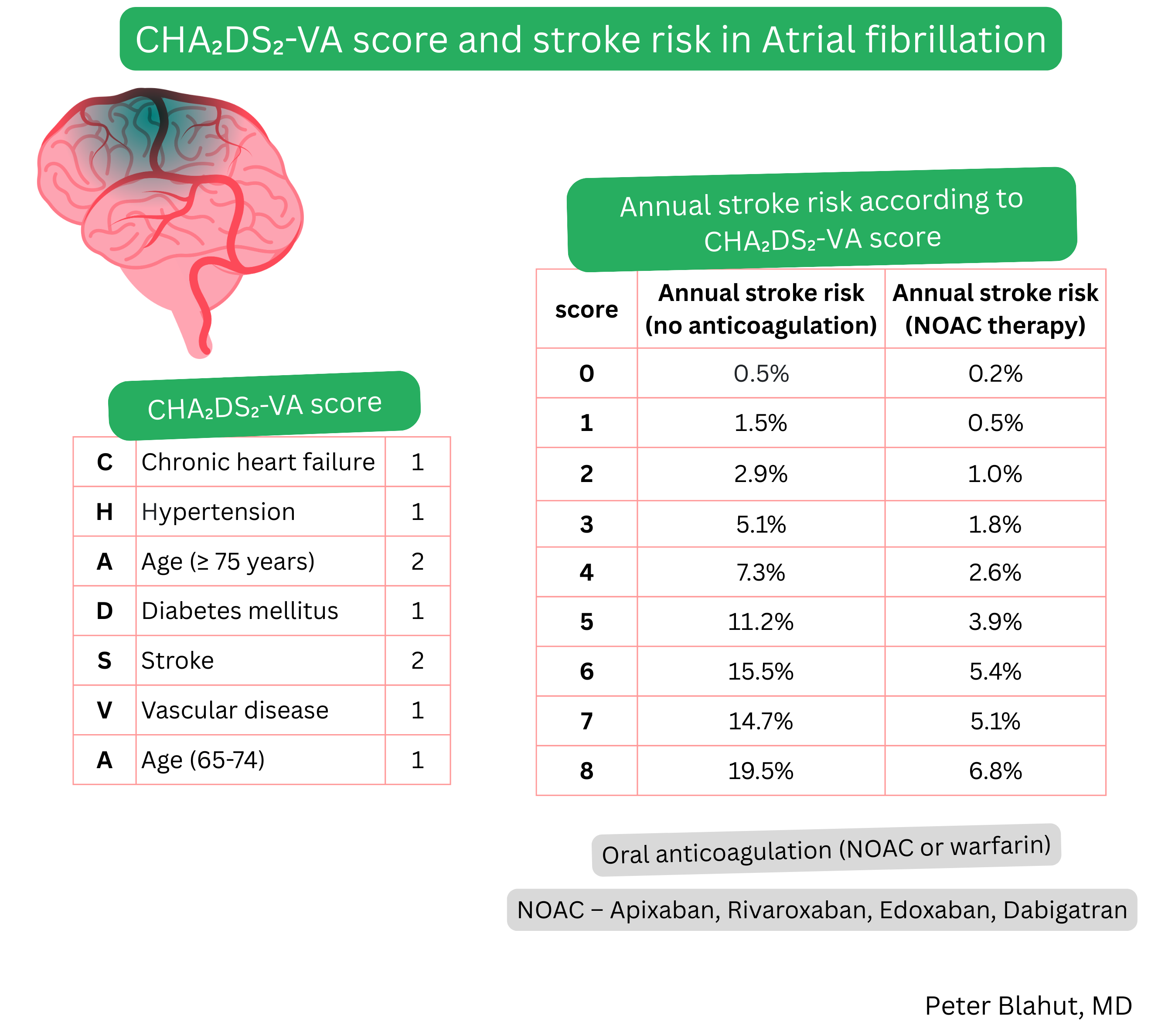 Overview of the CHA2DS2-VA score and annual stroke risk in atrial fibrillation with comparison of risk without anticoagulation and during NOAC therapy.