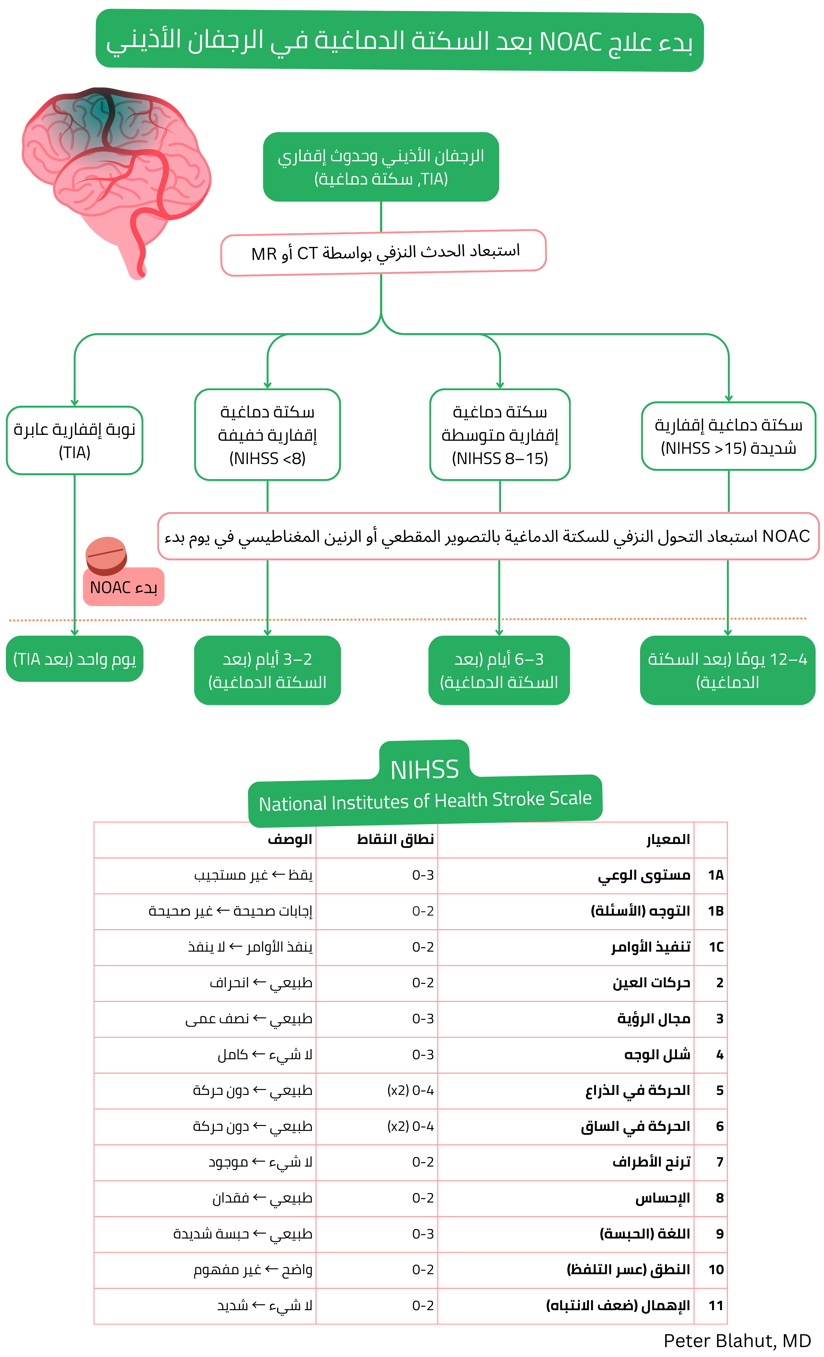 خوارزمية بدء مضادات التخثر الفموية المباشرة بعد السكتة الدماغية الإقفارية أو النوبة الإقفارية العابرة في الرجفان الأذيني وفق شدة العجز العصبي حسب NIHSS وبعد استبعاد التحول النزفي.