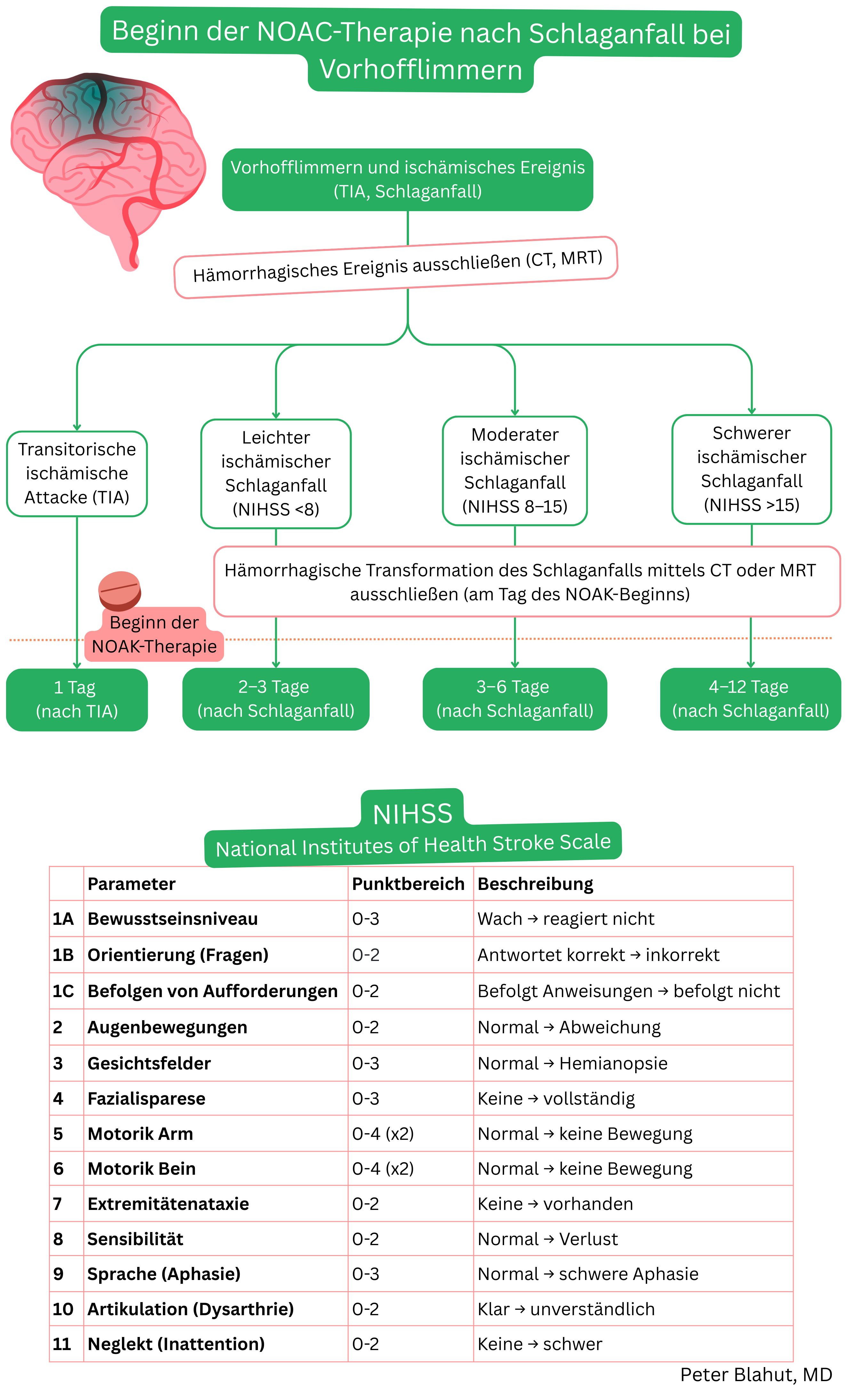 Algorithmus zur Initiierung von NOAK nach ischämischem Schlaganfall oder TIA bei Vorhofflimmern abhängig vom Schweregrad des neurologischen Defizits nach NIHSS und nach Ausschluss einer hämorrhagischen Transformation.