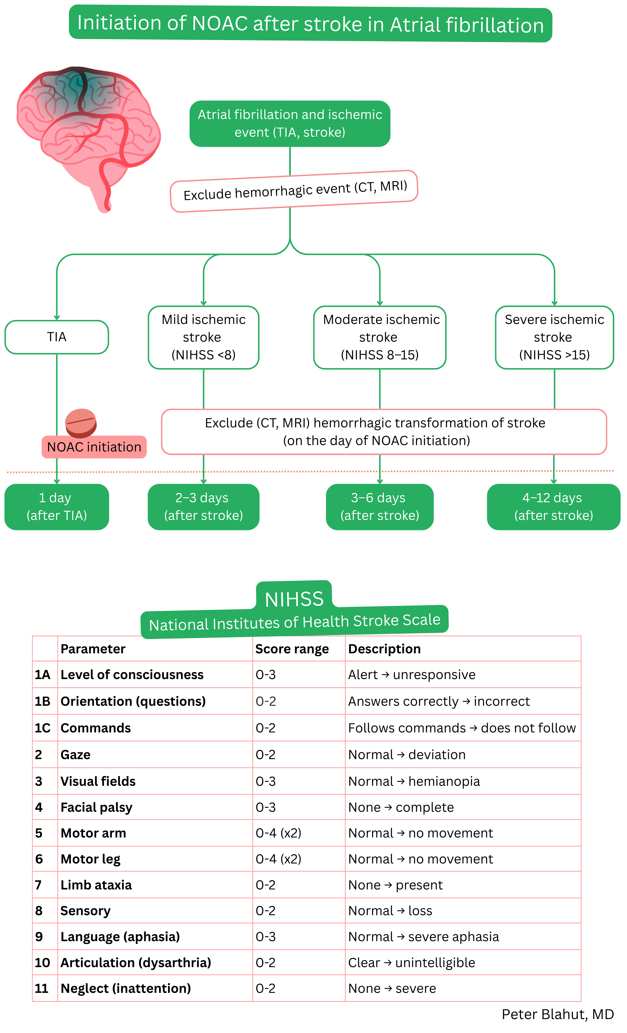 Algorithm for initiation of NOAC after ischemic stroke or TIA in atrial fibrillation based on neurological deficit severity assessed by NIHSS and exclusion of hemorrhagic transformation.