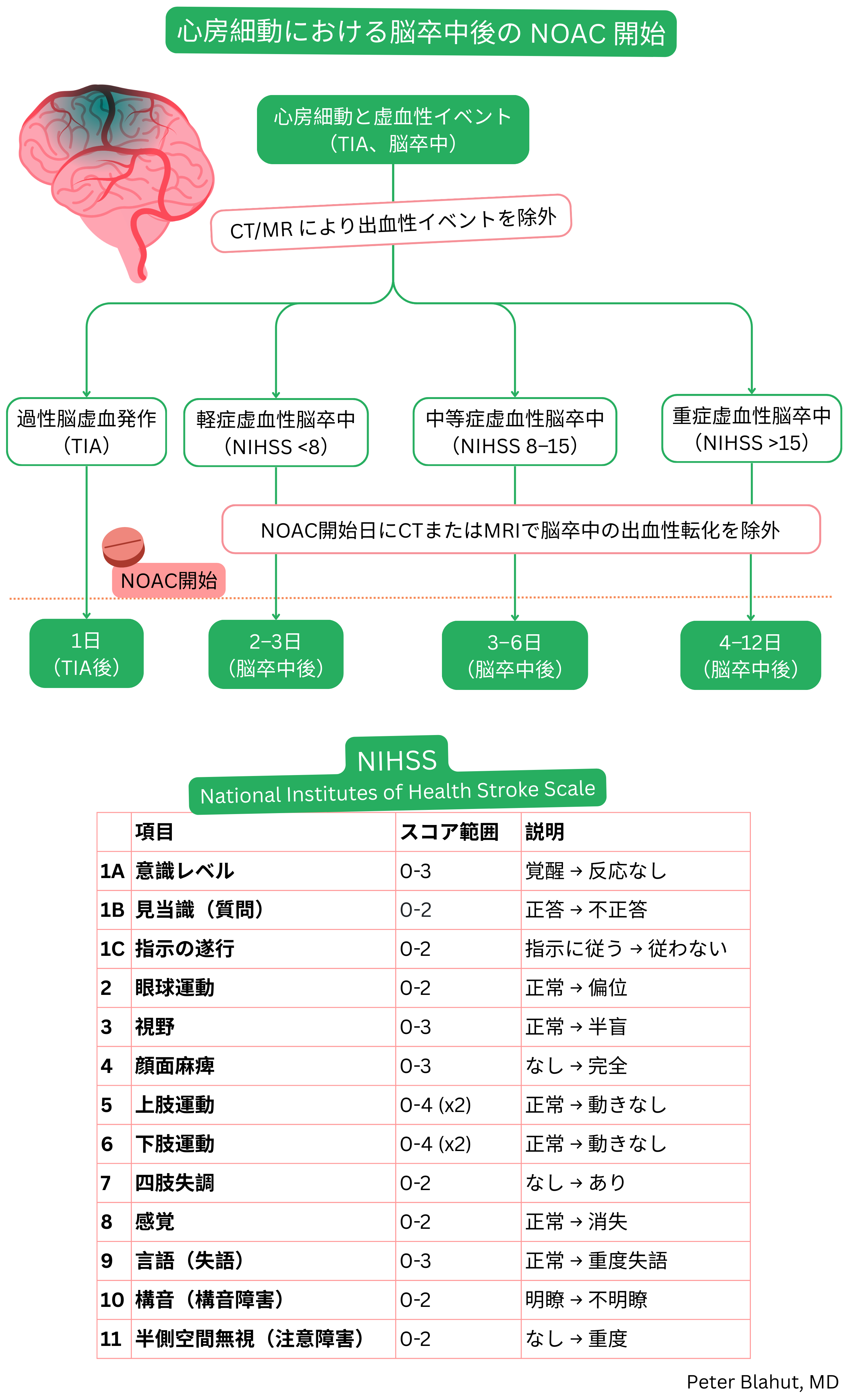 心房細動における虚血性脳卒中またはTIA後のNOAC開始アルゴリズムで、NIHSSによる神経学的重症度評価および出血性転化の除外に基づく。