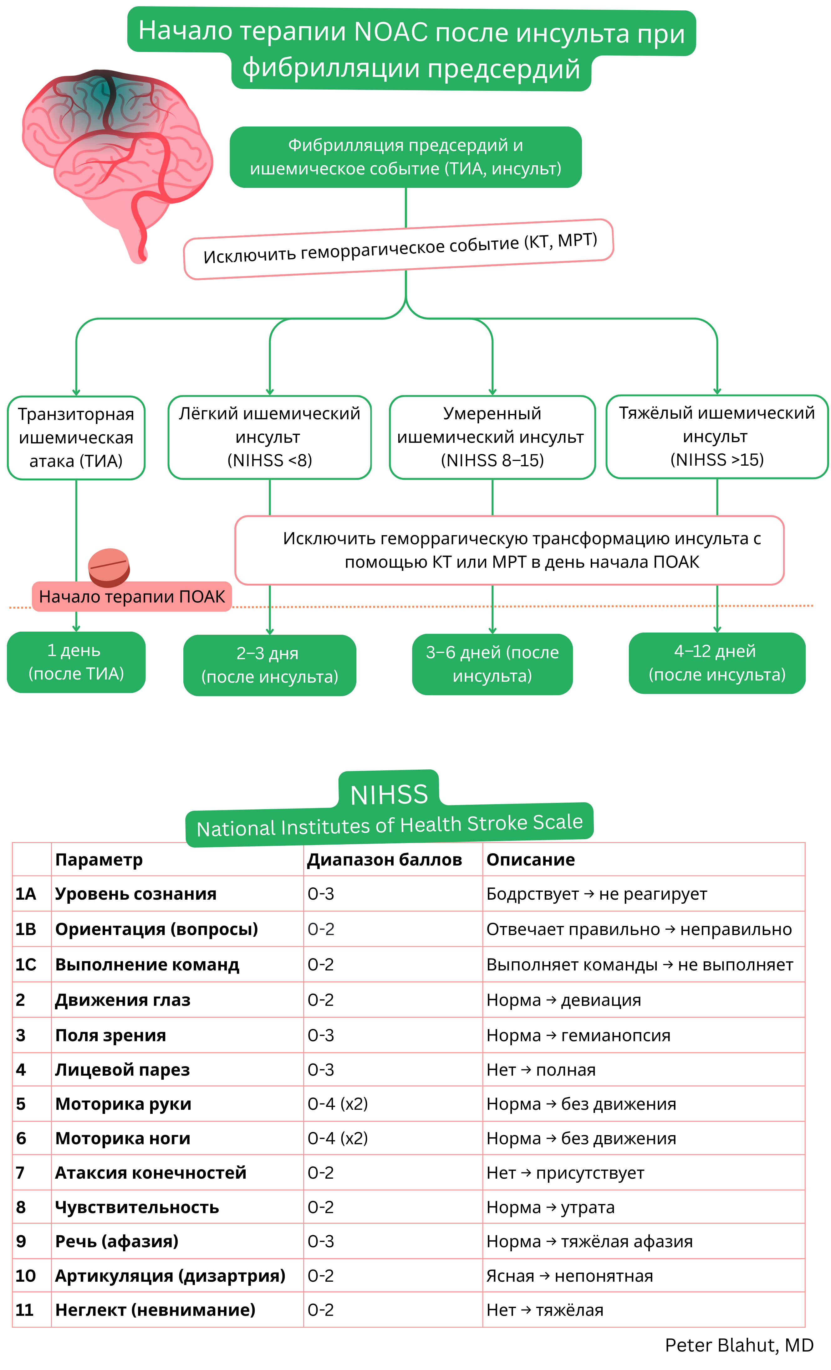 Алгоритм начала терапии НОАК после ишемического инсульта или ТИА при фибрилляции предсердий с учетом тяжести неврологического дефицита по NIHSS и исключения геморрагической трансформации.