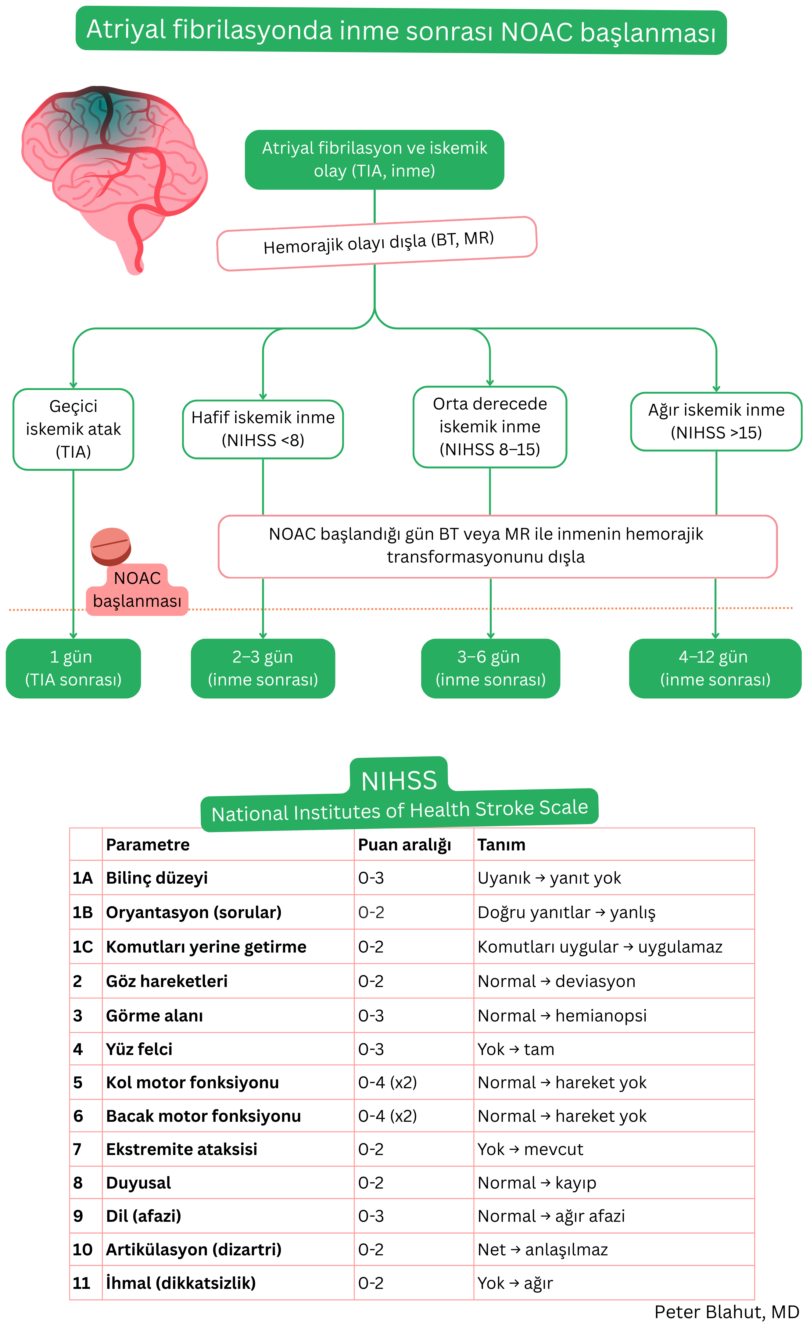 Atriyal fibrilasyonda iskemik inme veya TIA sonrası NOAC başlama algoritması; NIHSS ile değerlendirilen nörolojik defisit şiddetine ve hemorajik transformasyonun dışlanmasına göre düzenlenmiştir.