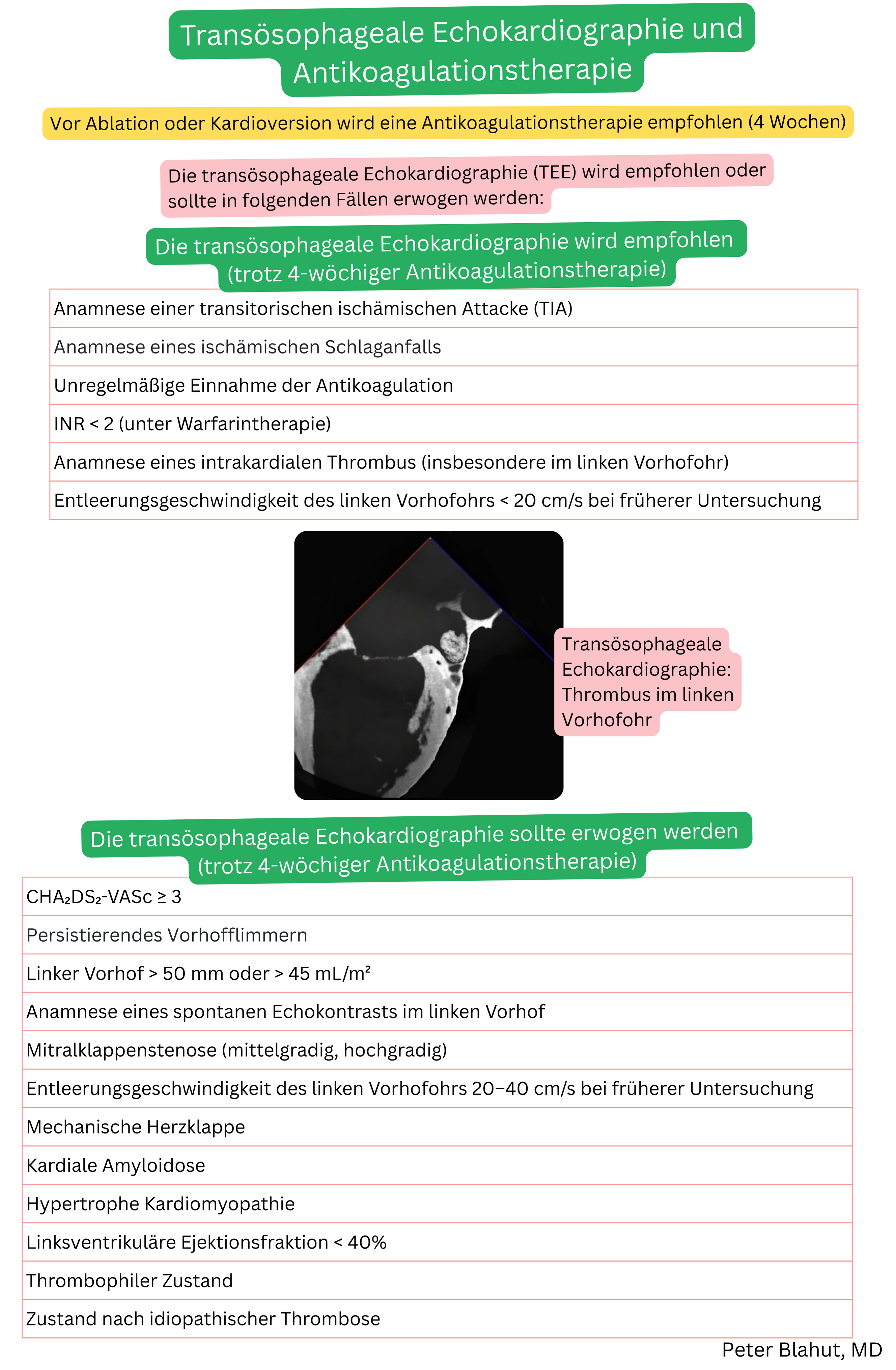 Überblick über die Indikationen zur transösophagealen Echokardiographie vor Kardioversion oder Ablation bei Vorhofflimmern trotz vierwöchiger Antikoagulation einschließlich Hochrisikosituationen und Nachweis eines Thrombus im linken Vorhofohr.