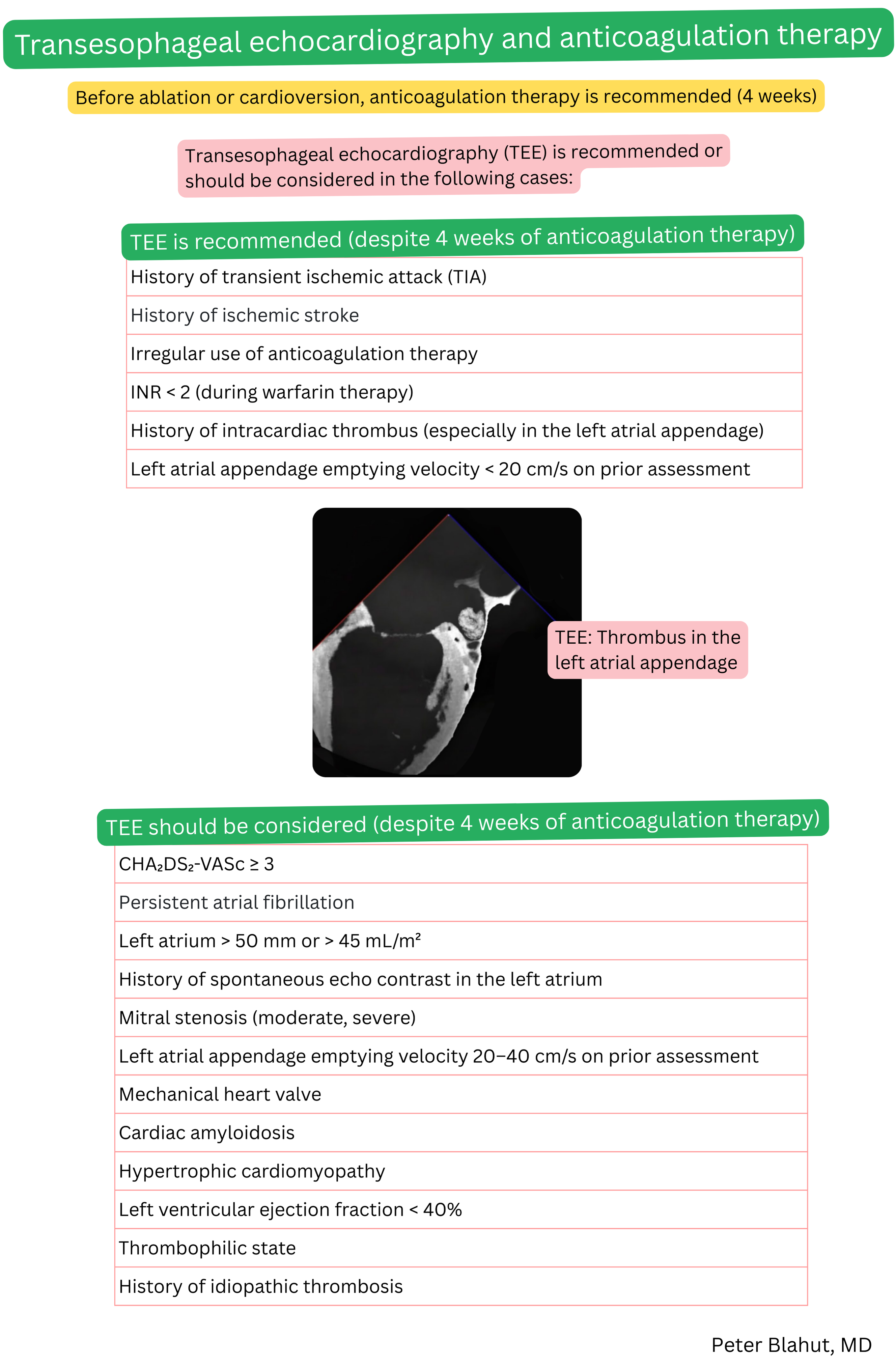 Overview of indications for transesophageal echocardiography before cardioversion or ablation in atrial fibrillation despite four weeks of anticoagulation, including high-risk clinical scenarios and detection of left atrial appendage thrombus.