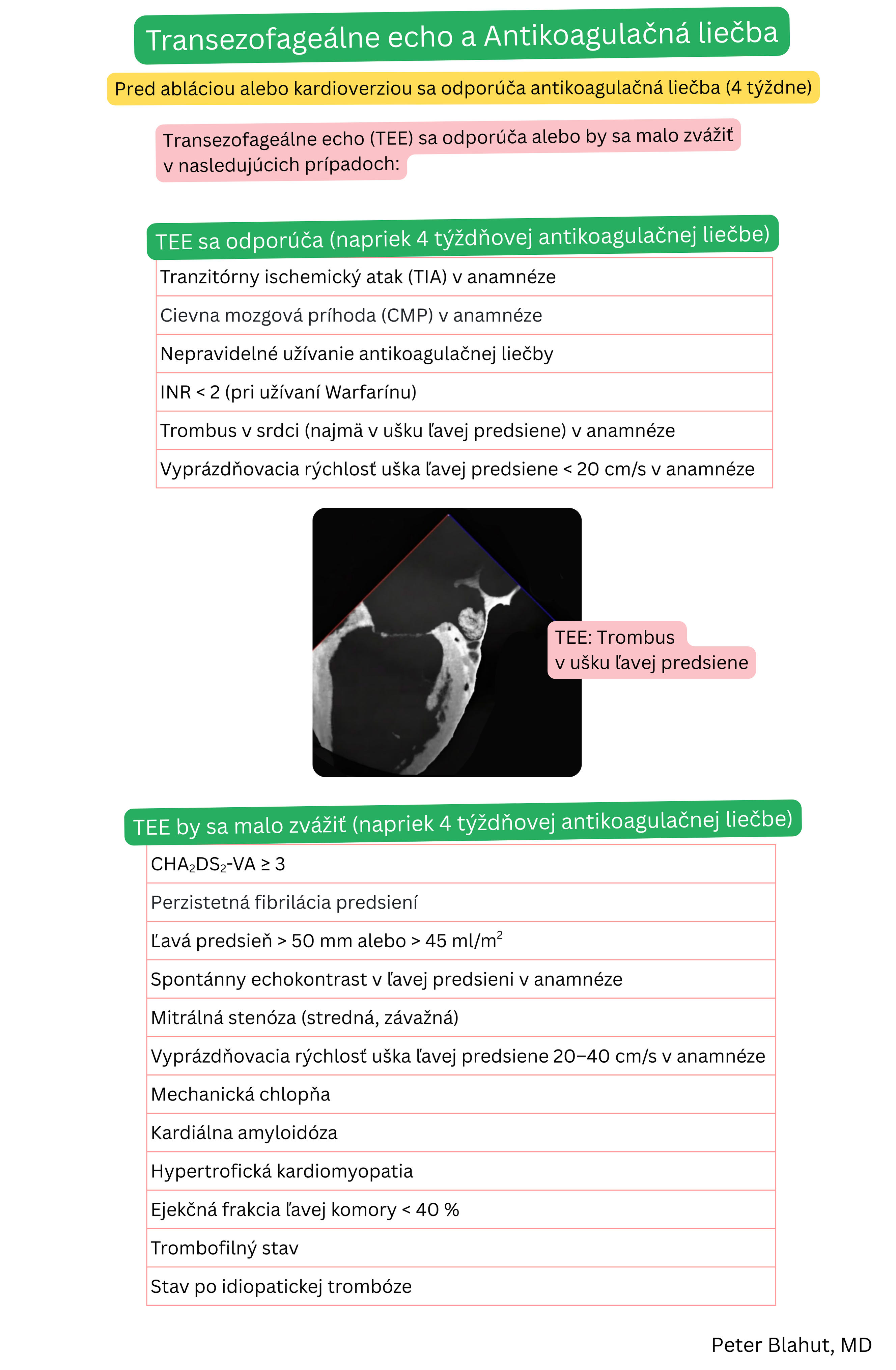 Prehľad indikácií pre transesofageálnu echokardiografiu pred kardioverziou alebo abláciou pri fibrilácii predsiení napriek 4-týždňovej antikoagulačnej liečbe vrátane rizikových klinických situácií a nálezu trombu v ušku ľavej predsiene.
